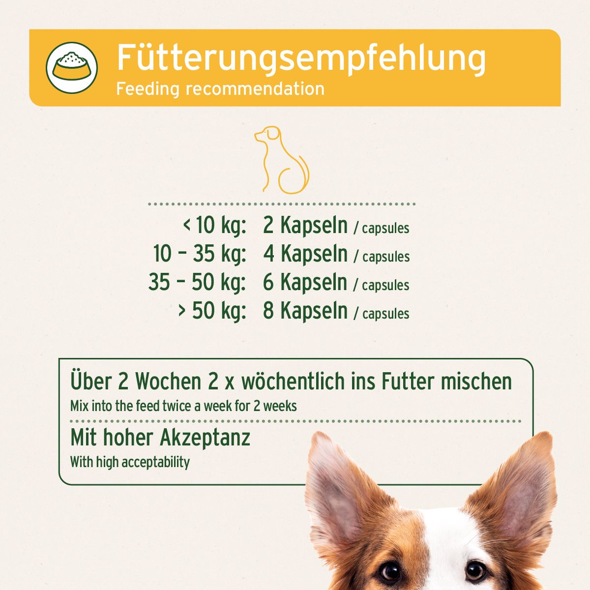 Text auf gelbem Hintergrund: Fütterungsempfehlung. Dosierung nach Gewicht. Hund.