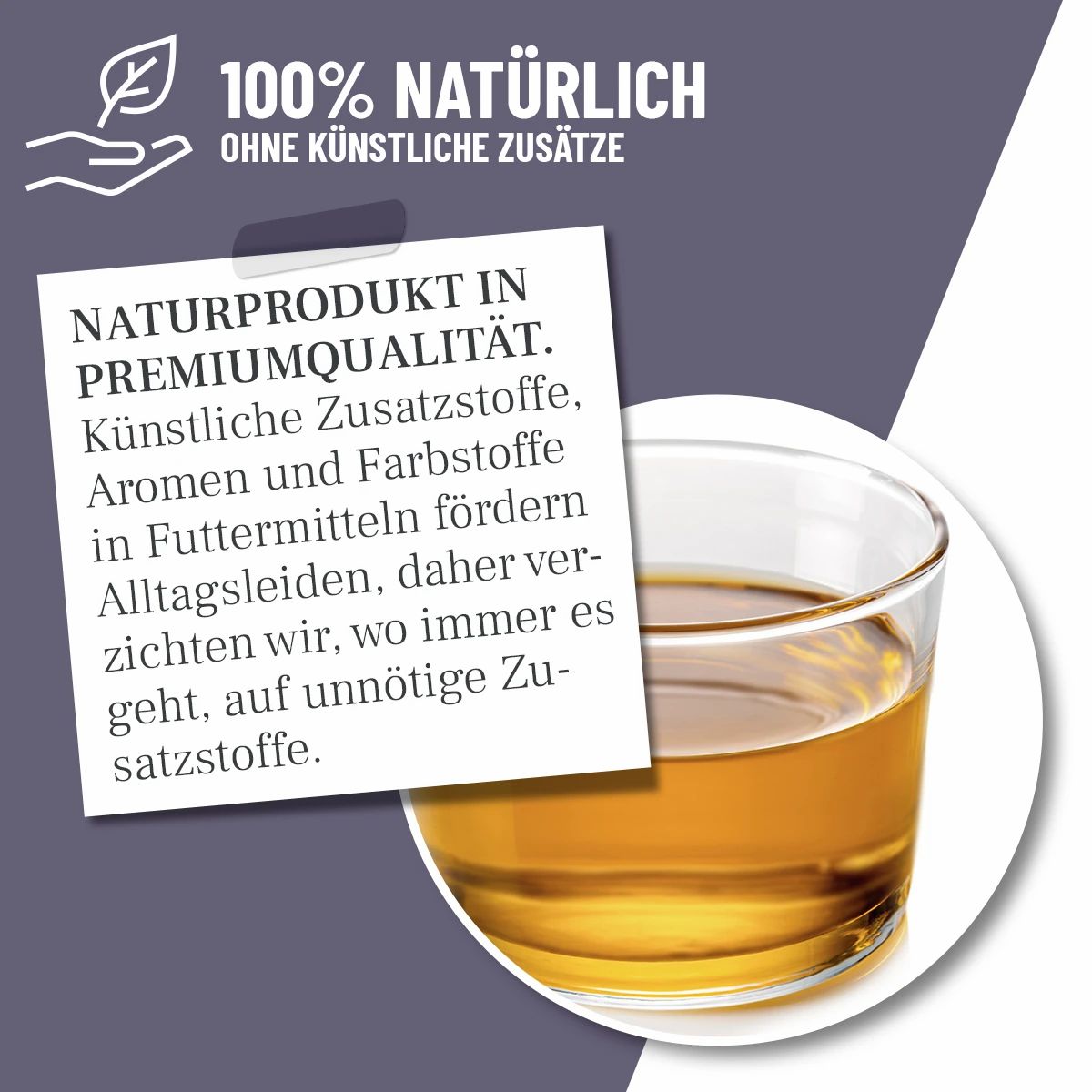 Schwarzkümmelöl - ReaVET