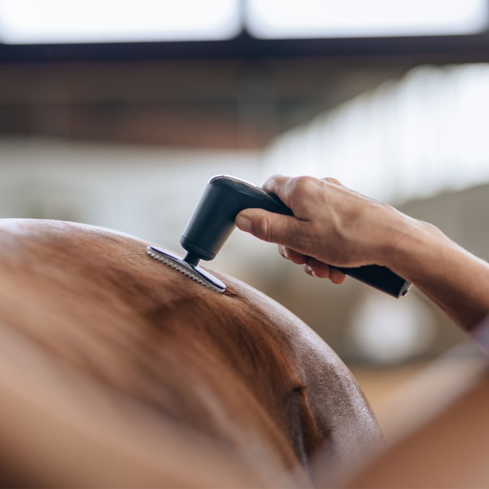 Person behandelt Pferd mit Massagegerät. Schwarzes Gerät mit Aufsatz. Anwendung am Rücken des Pferdes.