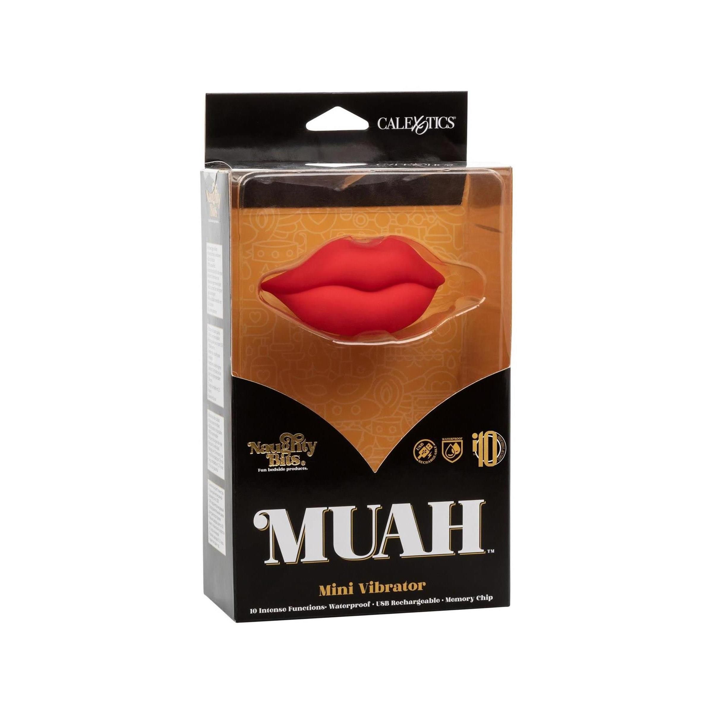 Verpackung mit rotem Lippen-Mini-Vibrator. Schwarze Box mit Produktnamen und Markennamen. Transparente Kunststoff-Vorderseite.