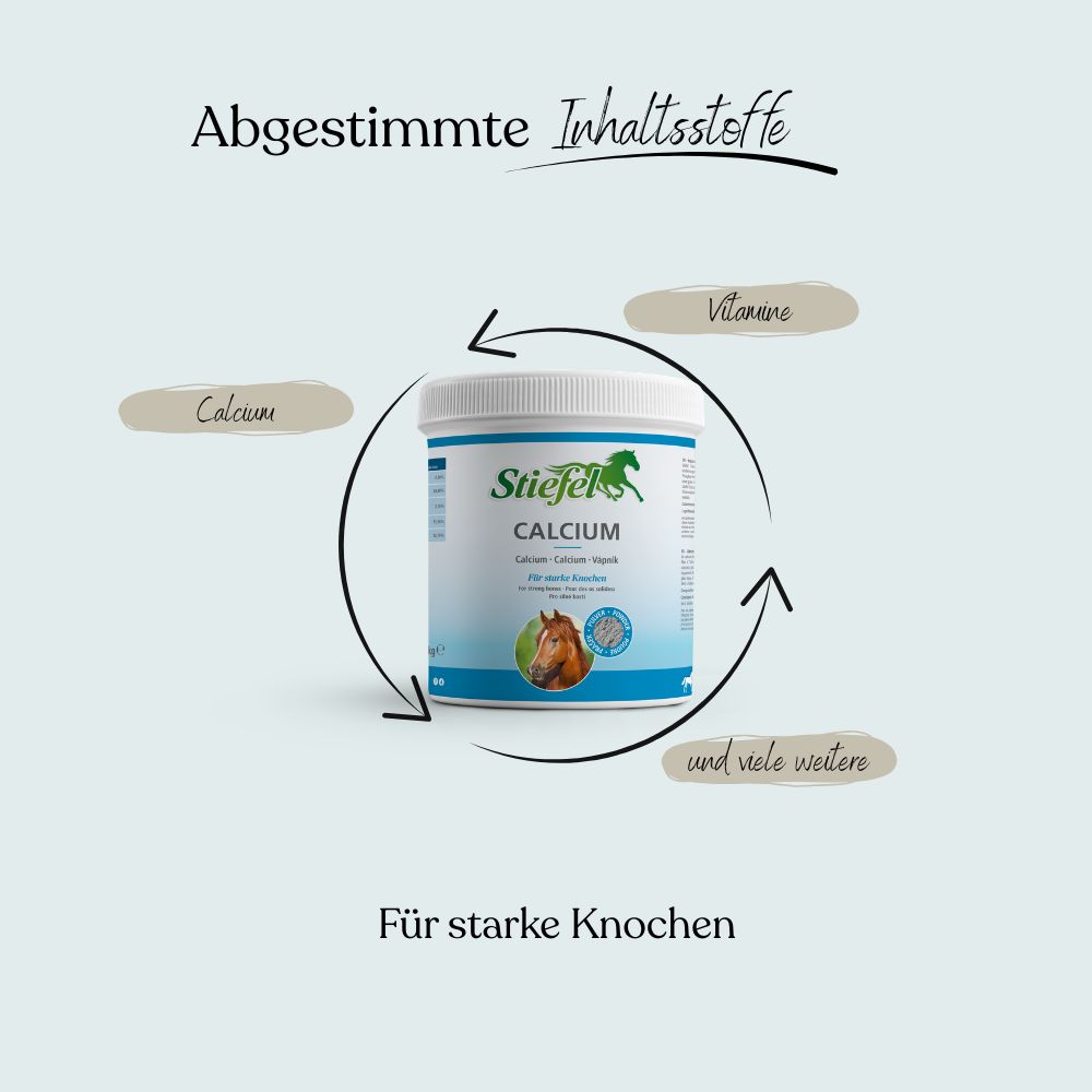 Weißes Calcium-Pulver in Dose. Beschriftung: Stiefel Calcium, für starke Knochen. Abbildung eines Pferdekopfes.