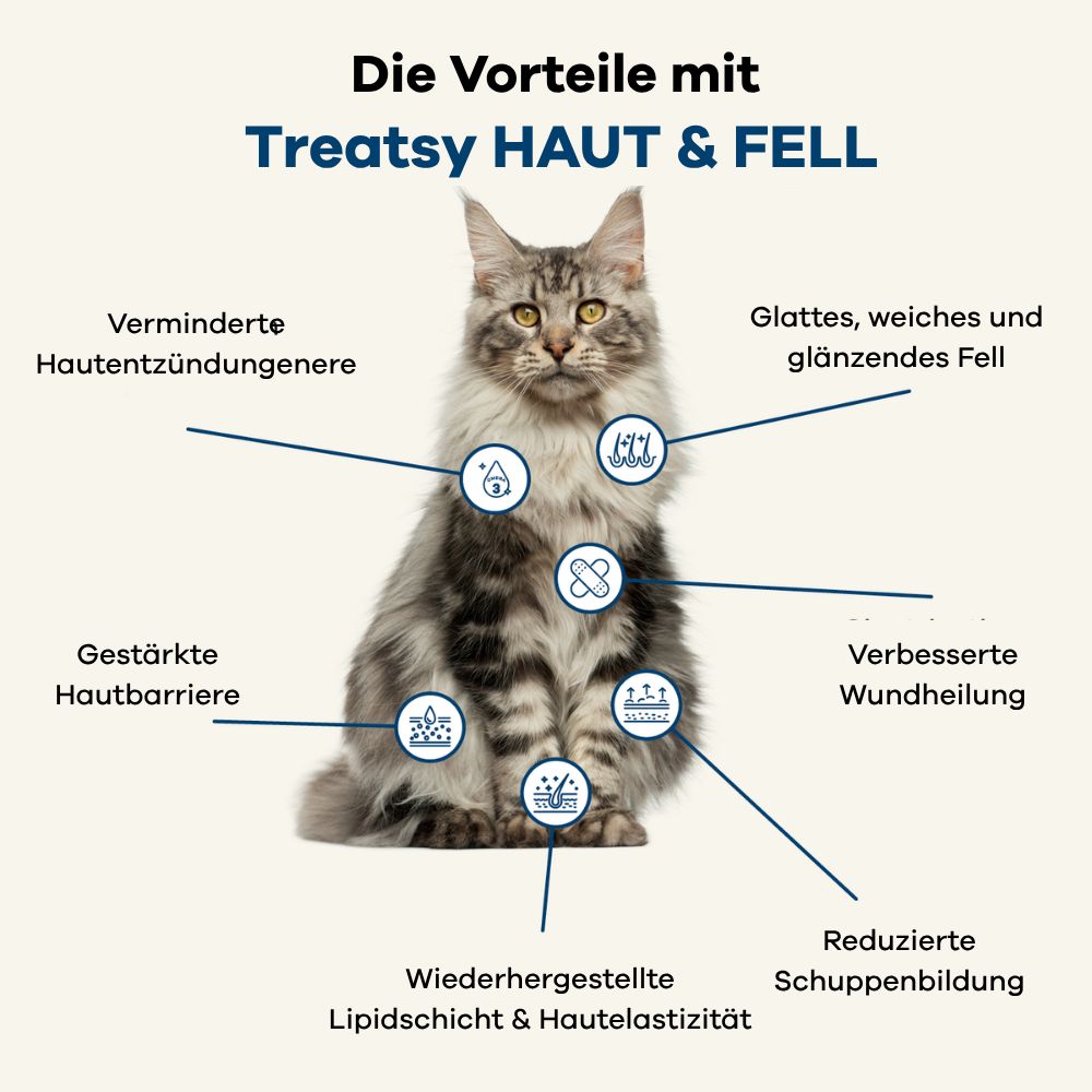 Katze mit Markierungen. Vorteile: Weniger Hautentzündungen, glänzendes Fell, verbesserte Wundheilung, etc. Treatsy Haut & Fell.