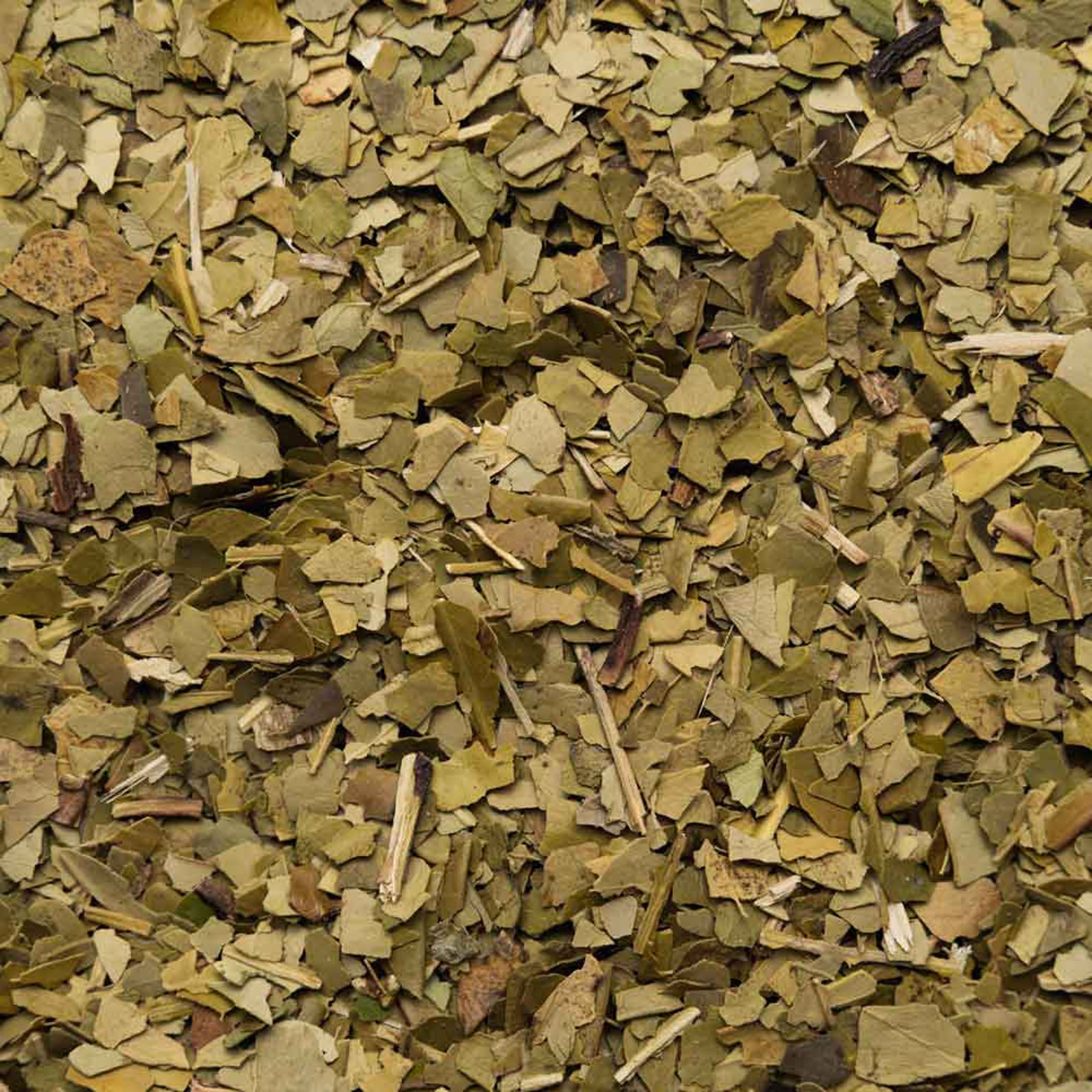 Biotiva Matetee Bio