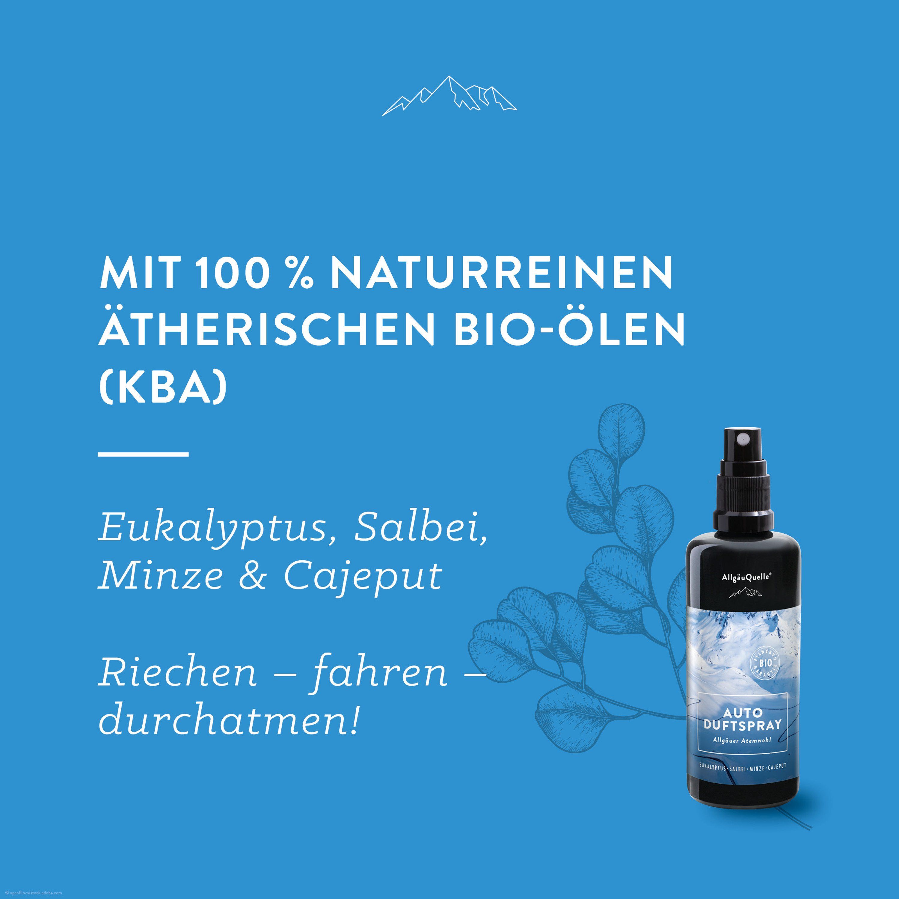 AllgäuQuelle Bio Autoduft Lufterfrischer Duftspray Alpenzirbe, Lorbeer,  Fichte und Kiefer 100 ml - SHOP APOTHEKE