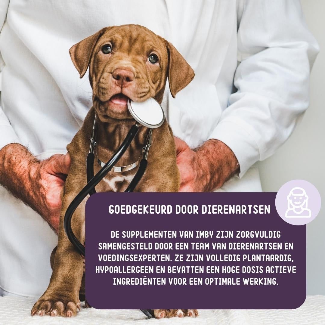 Imby Hip and Joint - Pflanzliche Gelenkunterstützung für Hunde mit Glucosamin und MSM