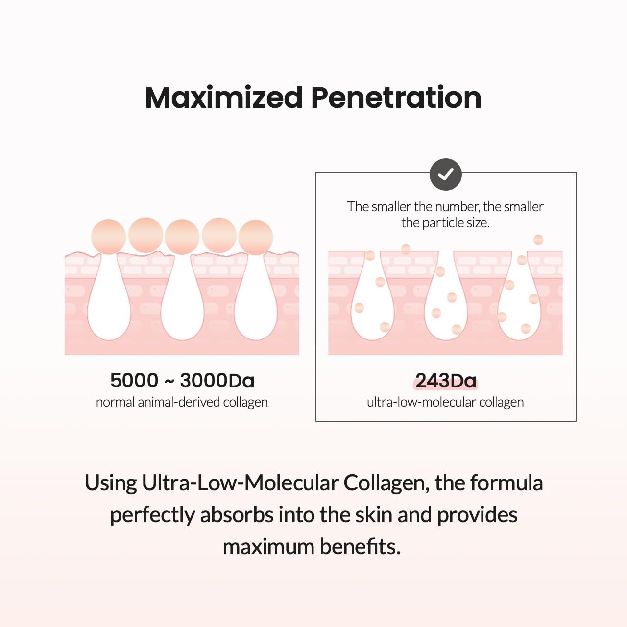 Biodance  Pore Tightening Collagen Cream