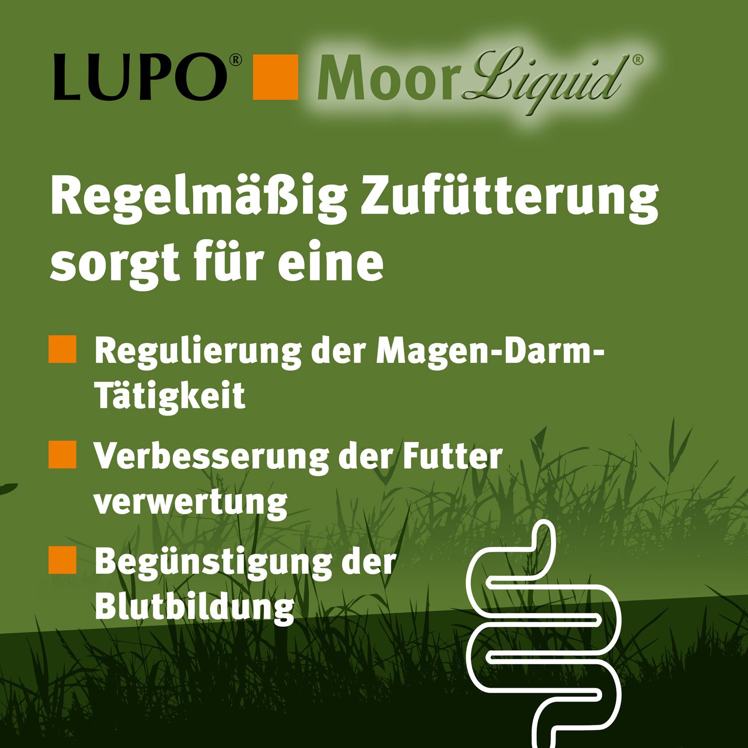 LUPO MoorLiquid®