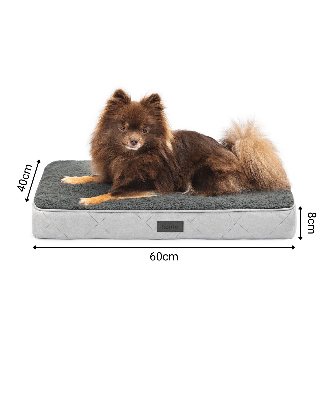 lionto orthopädisches Hundebett