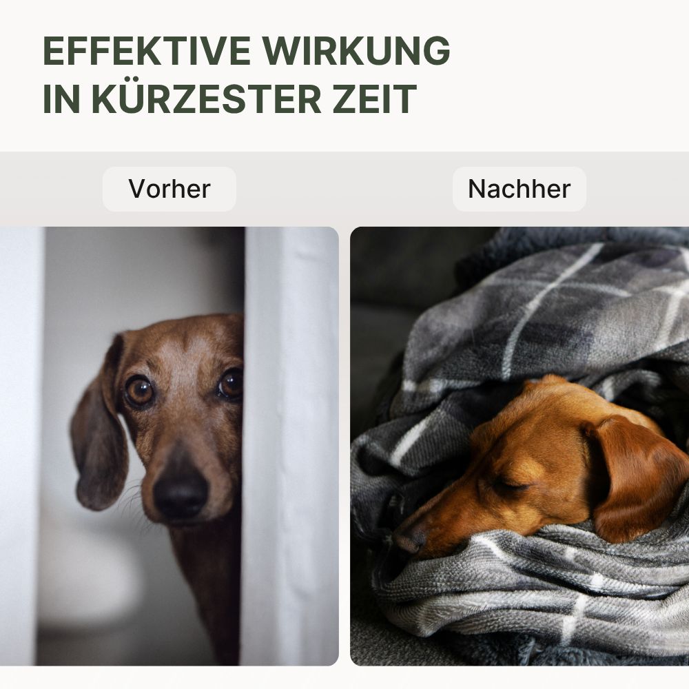 DOG1 Relax Snack für Hunde