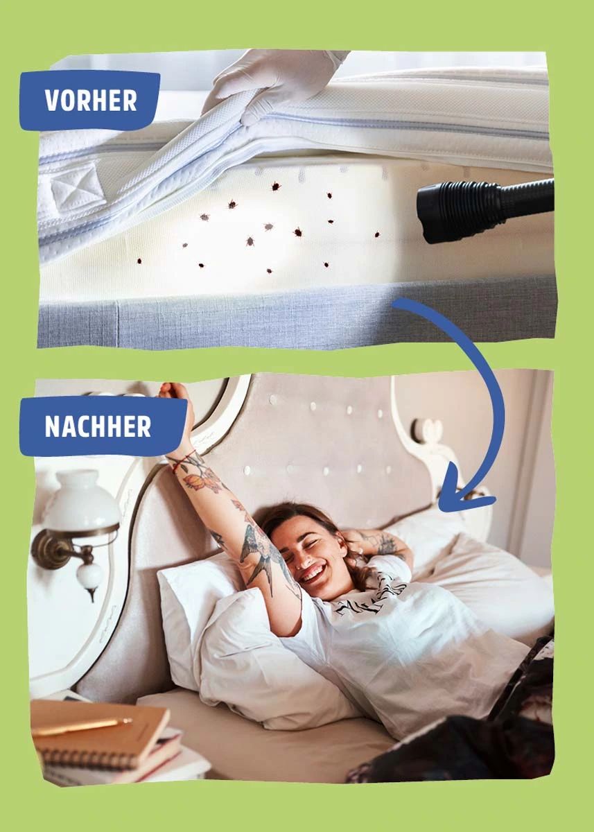 Bettwanzenspray - Effektive Abwehr & Langzeitschutz