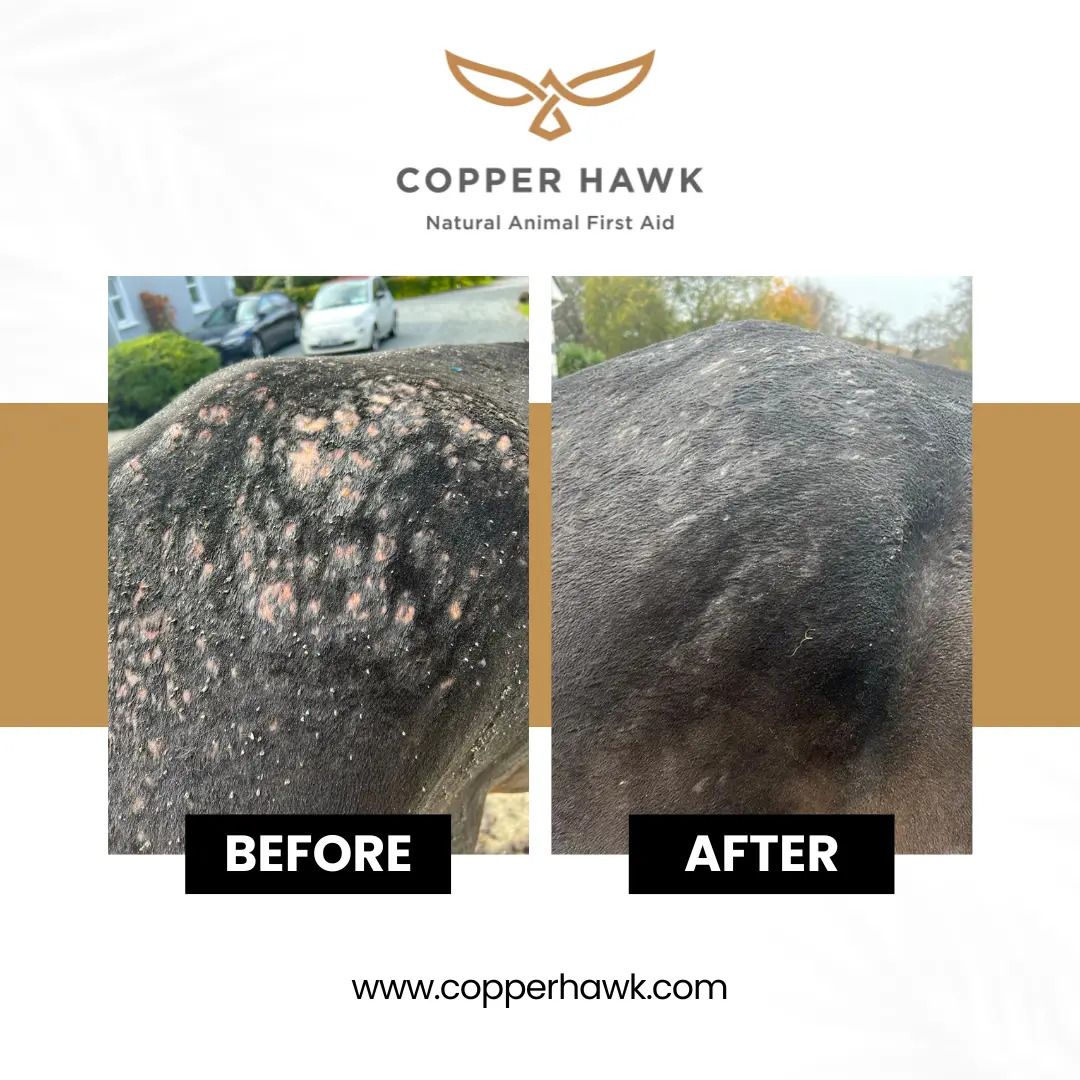 Vorher-Nachher-Vergleich. Haut eines Tieres mit kahlen Stellen (vorher) und geheilter Haut (nachher). Logo: Copper Hawk.