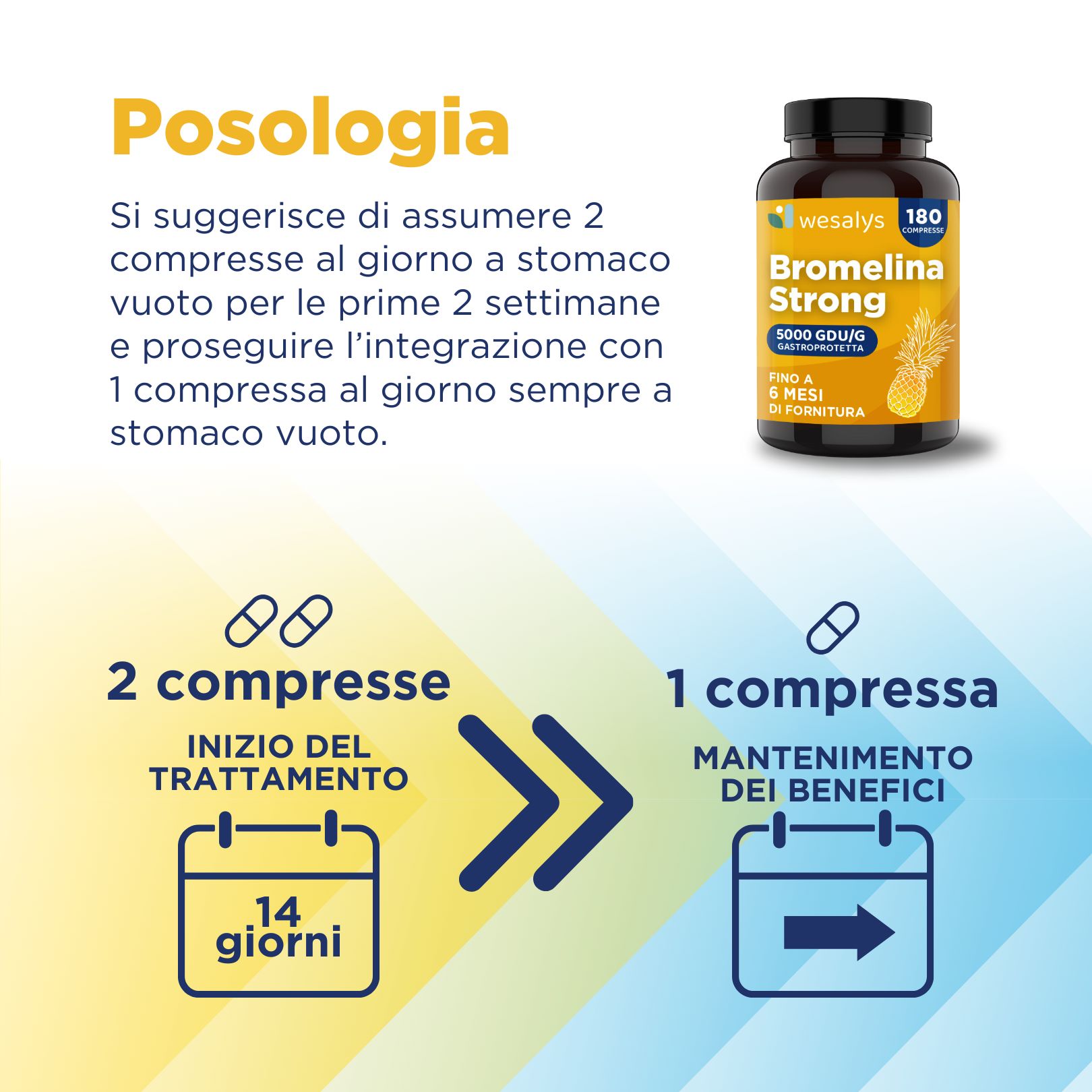 Un'illustrazione mostra la posologia di WESALYS Bromelina Strong. Si consiglia l'assunzione di due compresse al giorno a stomaco vuoto per le prime due settimane, seguite da una compressa al giorno per il mantenimento.