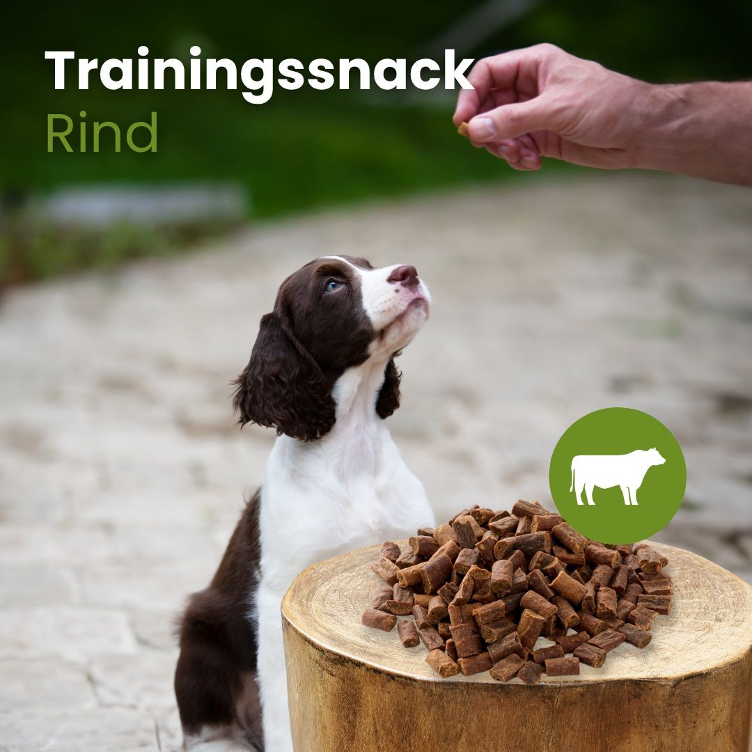 Ein Hund sitzt vor einem Haufen Hundeleckerlis aus Rindfleisch.