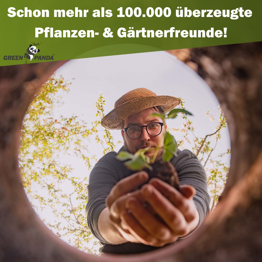 Mann hält eine Pflanze in den Händen. Text: Schon mehr als 100.000 überzeugte Pflanzen- & Gartenfreunde! Green Panda Logo.