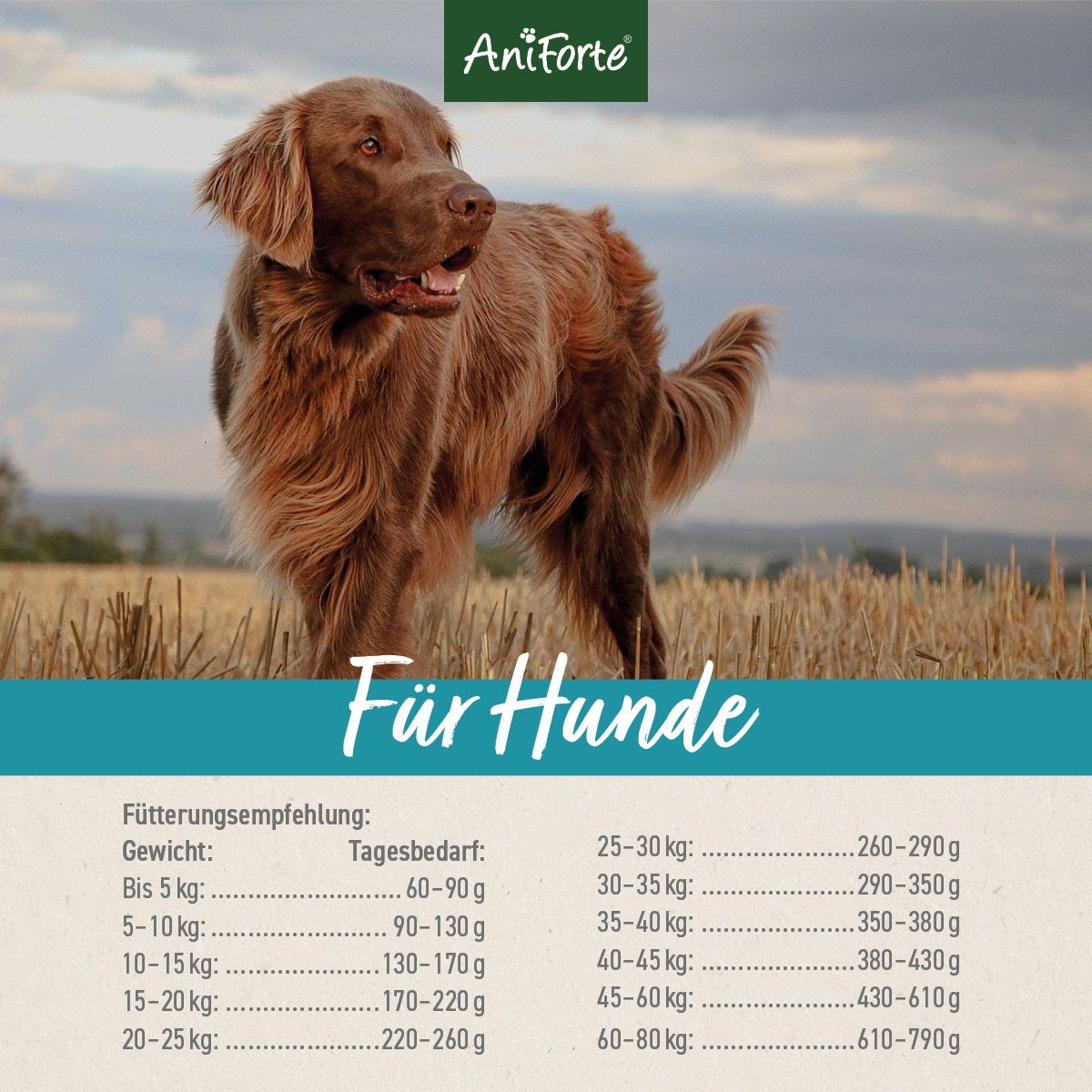 Brauner Hund im Feld. Text: Für Hunde. Fütterungsempfehlung nach Gewicht in Tabellenform.