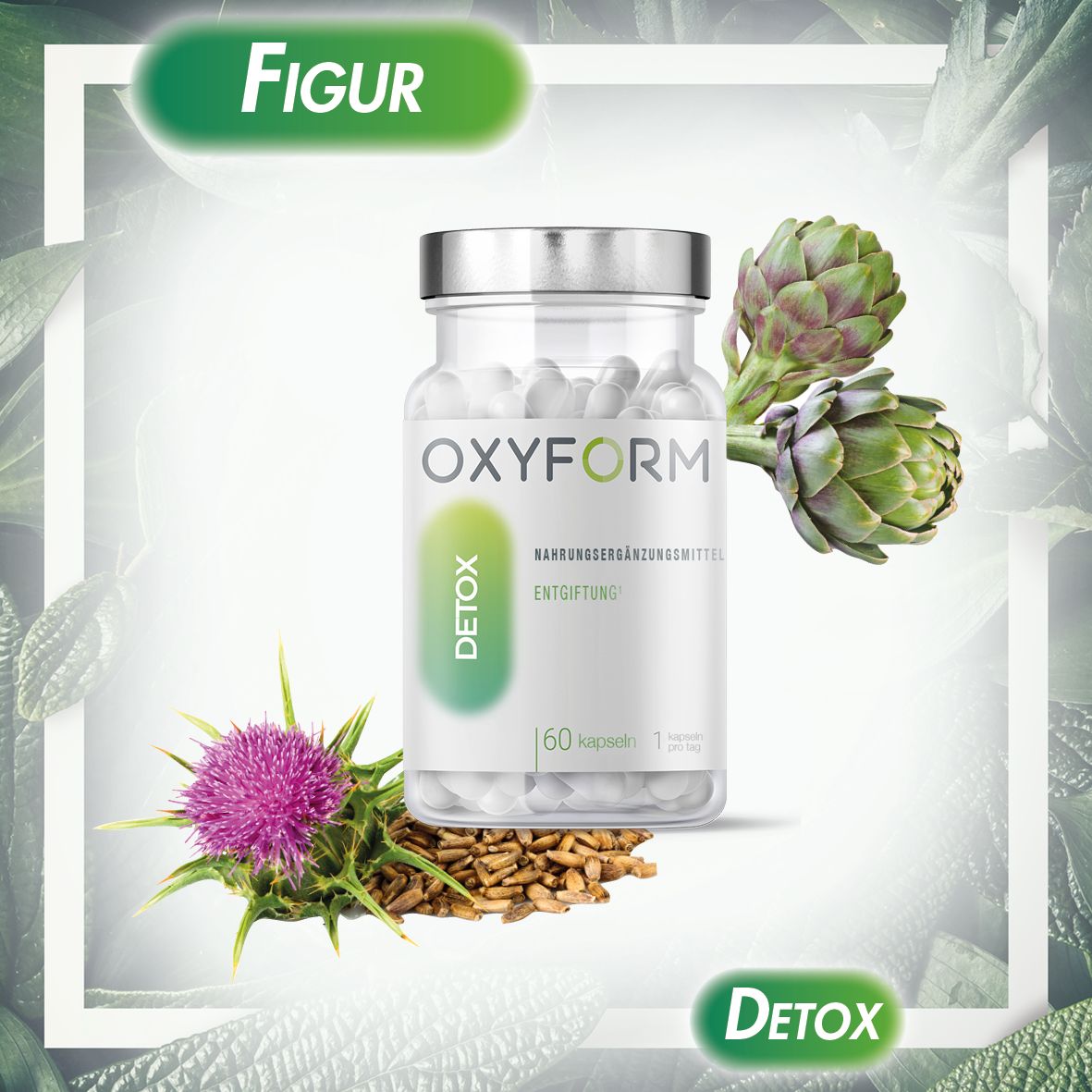 Oxyform Detox Artischocke & Pflanzen Kapseln 60 St