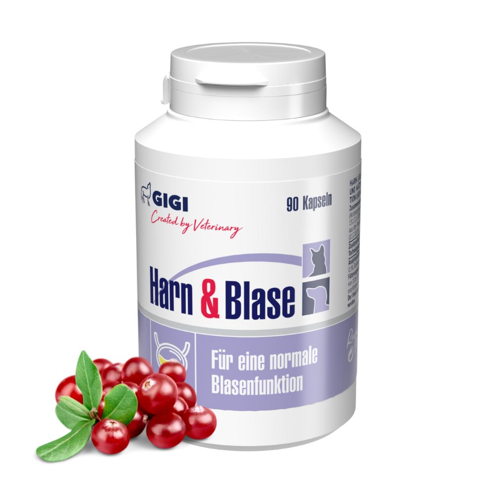 Weiße Flasche mit Kapseln. Aufschrift "Harn & Blase". Cranberry-Früchte daneben. Marke: GIGI.