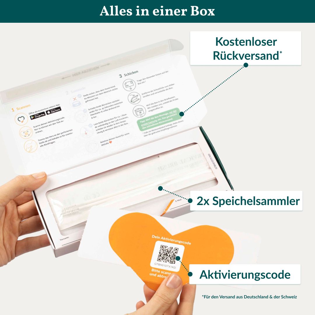 Produktverpackung geöffnet. Enthält: Speichelsammler, Aktivierungscode. Text: Kostenloser Rückversand. Hintergrund grün.