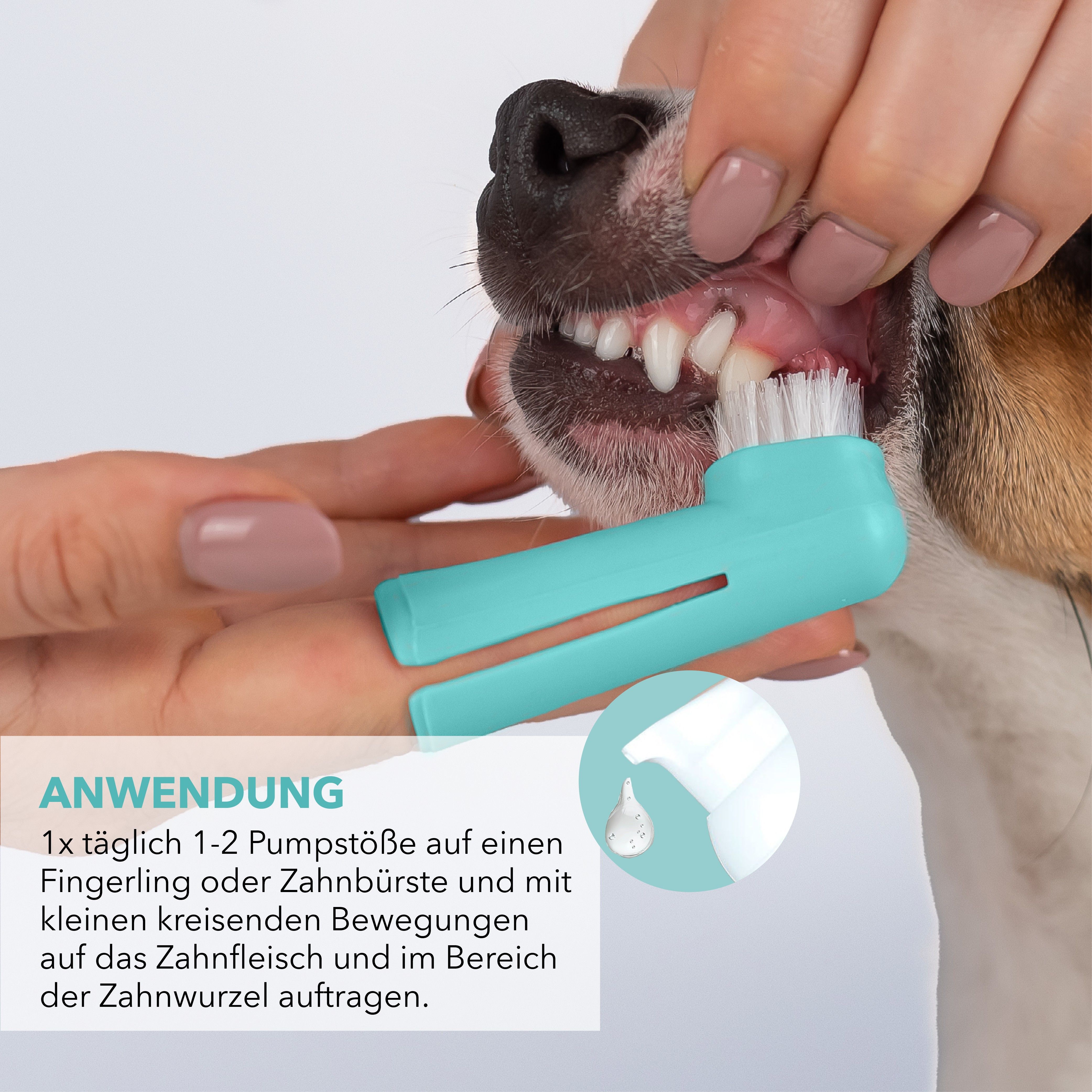 TAMACAN Dental Gel für Hunde - Zahnpflege mit CBD