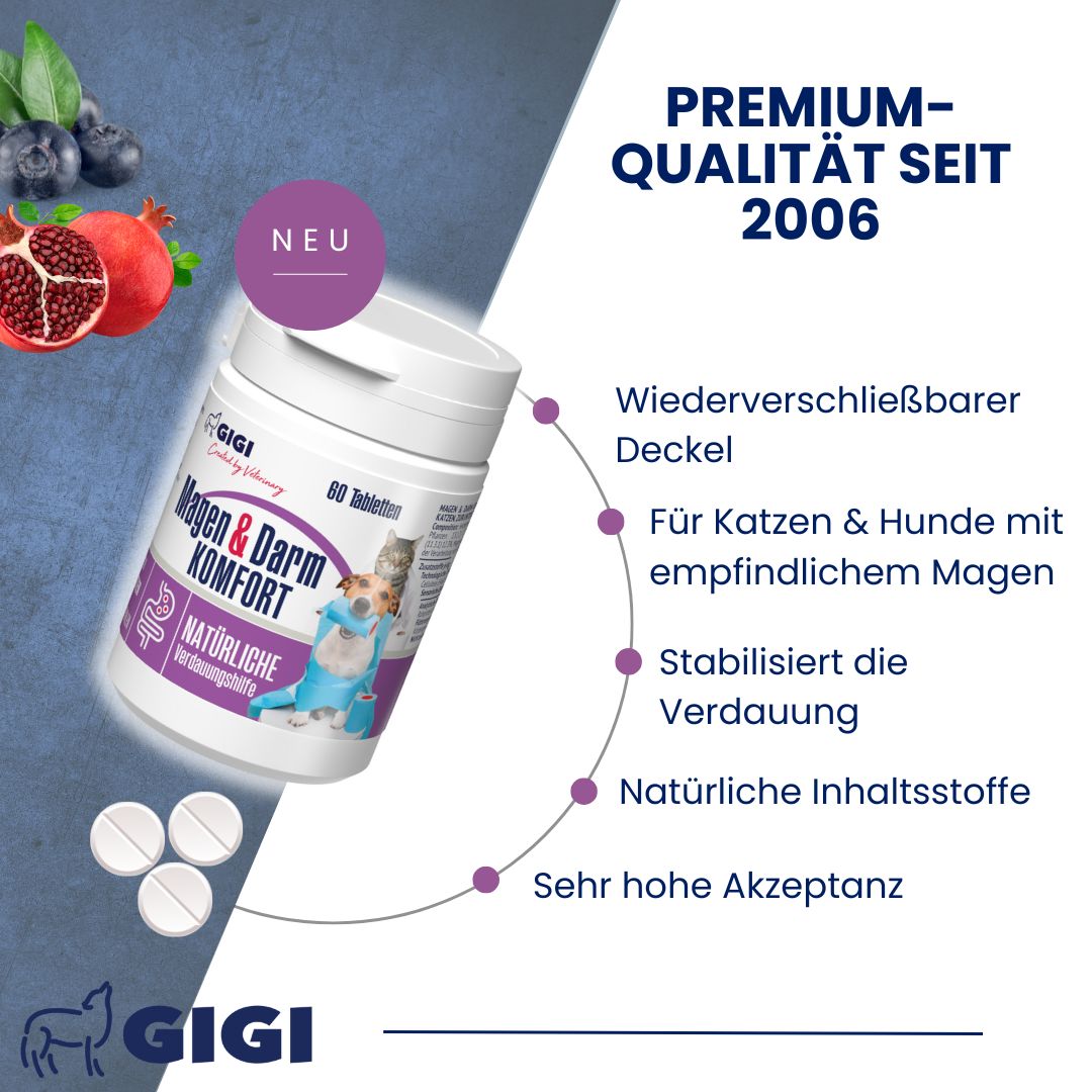 Tabletten-Dose mit Aufschrift "Magen & Darm Komfort". Text: "Premium-Qualität seit 2006".