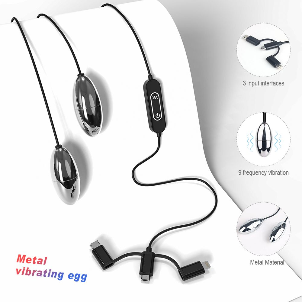 Zwei metallische, ovale Objekte mit Kabeln, Steuerungsteil und dreifachem USB-Anschluss. Text: Metal vibrating egg.