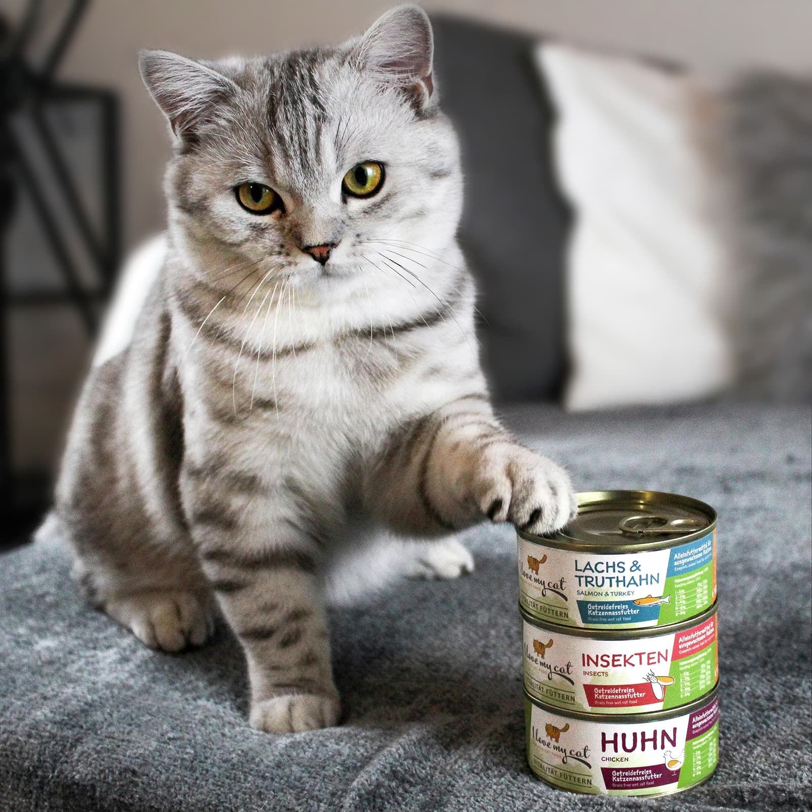 I love my cat Katzenfutter Nass mit Insekten