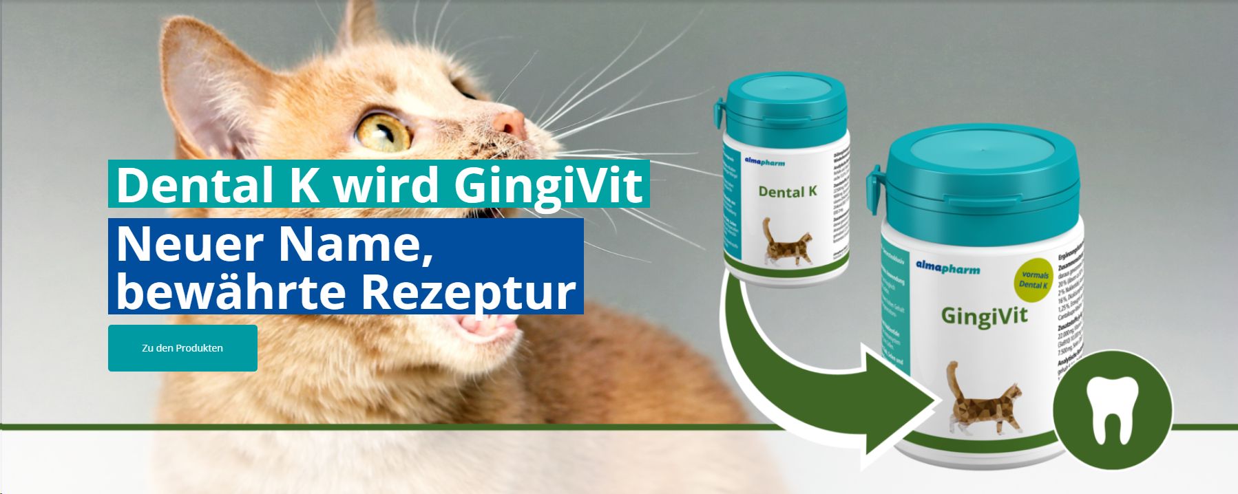Produktabbildung: Dose GingiVit. Text: Dental K wird GingiVit. Neuer Name, bewährte Rezeptur. Katze im Hintergrund.