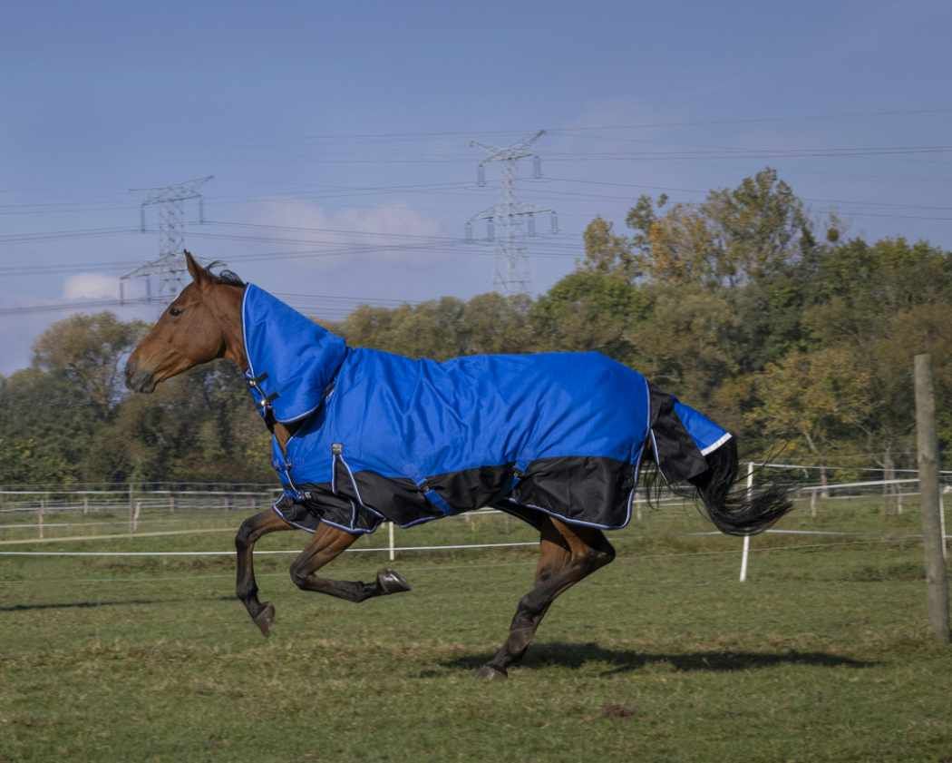 Equitheme Tyrex Outdoordecke