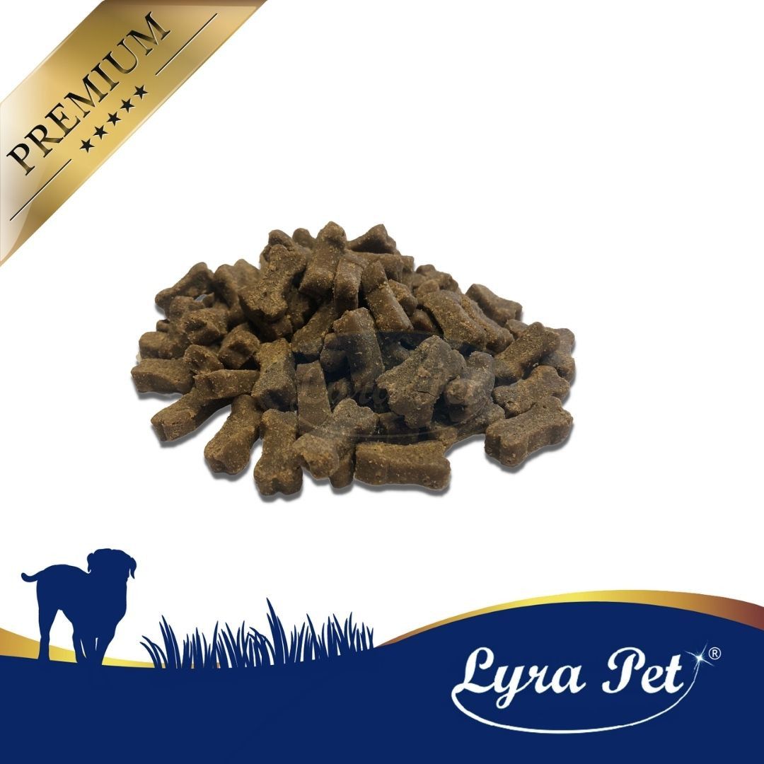 Lyra Pet® Hundeknochen mit Insekten + Tennis Ball