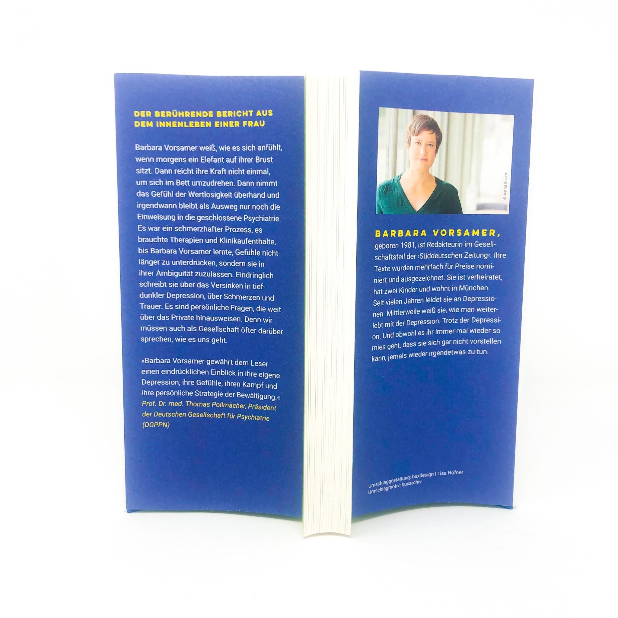 Buch "Mein schmerzhaft schönes Trotzdem" geöffnet. Rückseite mit Text und Foto. Verlag dtv.