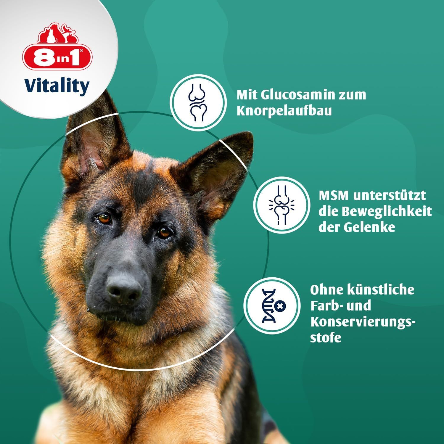 8in1 Glucosamin Tabletten mit MSM