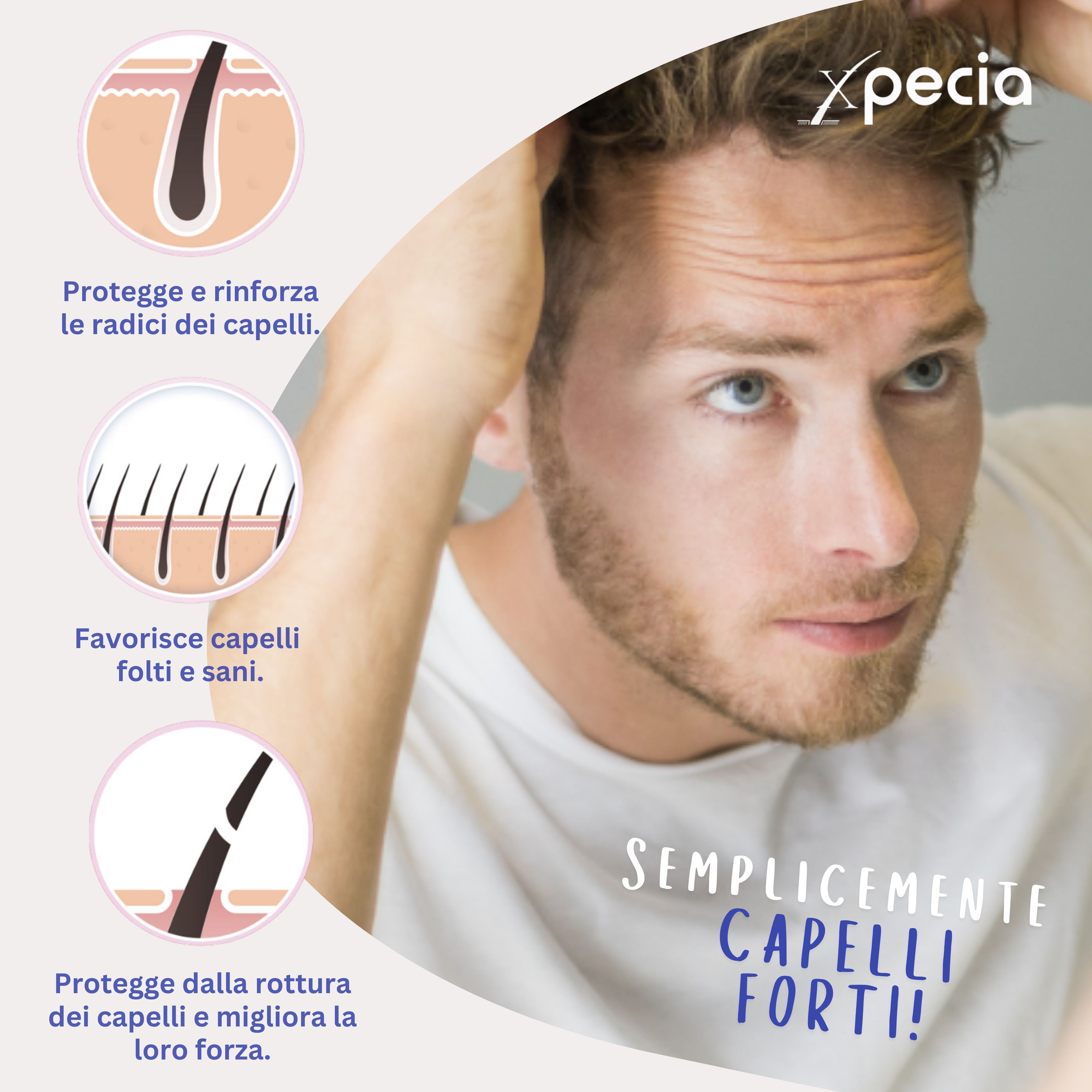 Uomo che si guarda allo specchio. Grafici che mostrano le radici dei capelli, i capelli folti e la rottura. Testo: Semplicemente capelli forti!