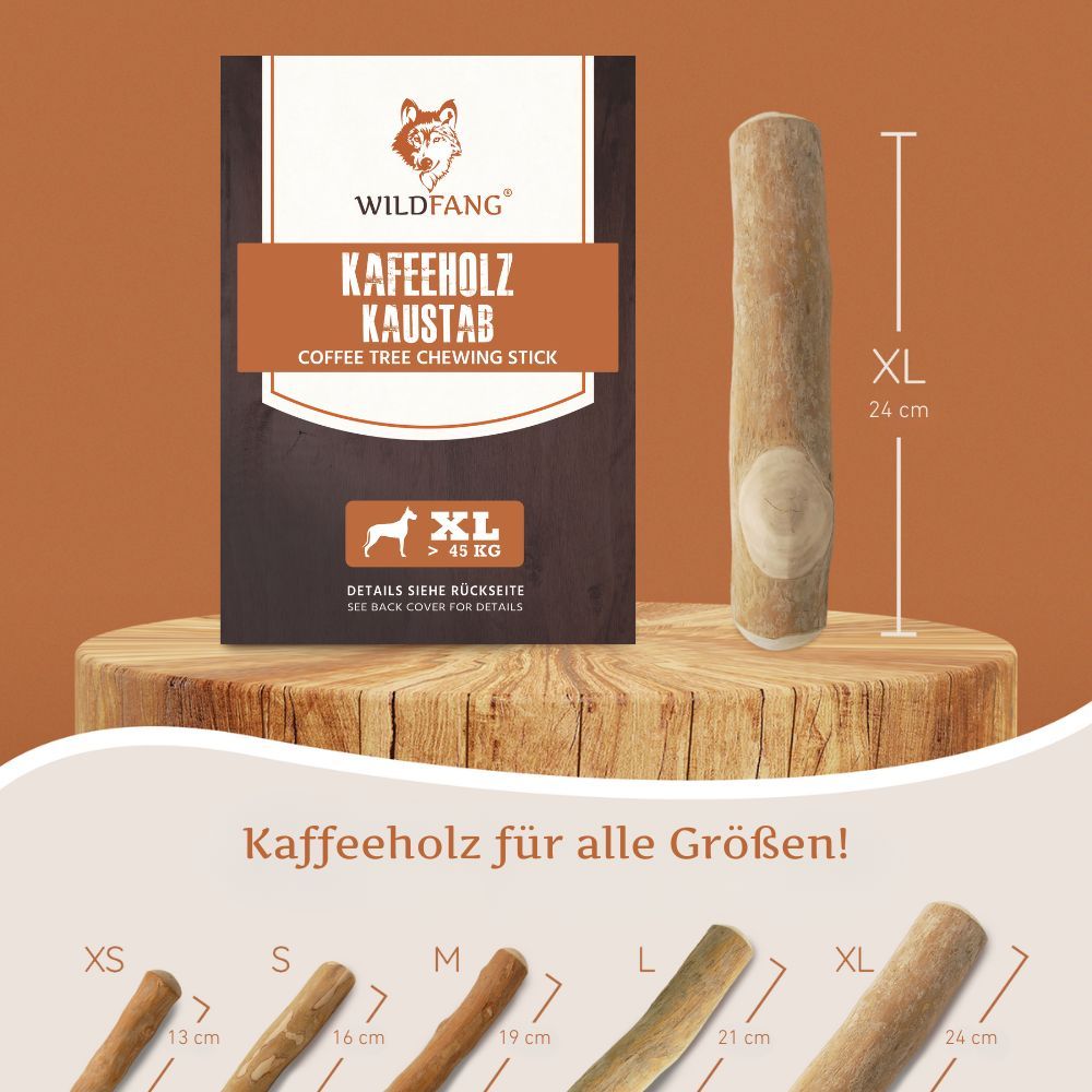 Kaffeeholz-Kaustab, XL, 24 cm.  Produktverpackung mit Größenangaben.  Verschiedene Größen abgebildet.