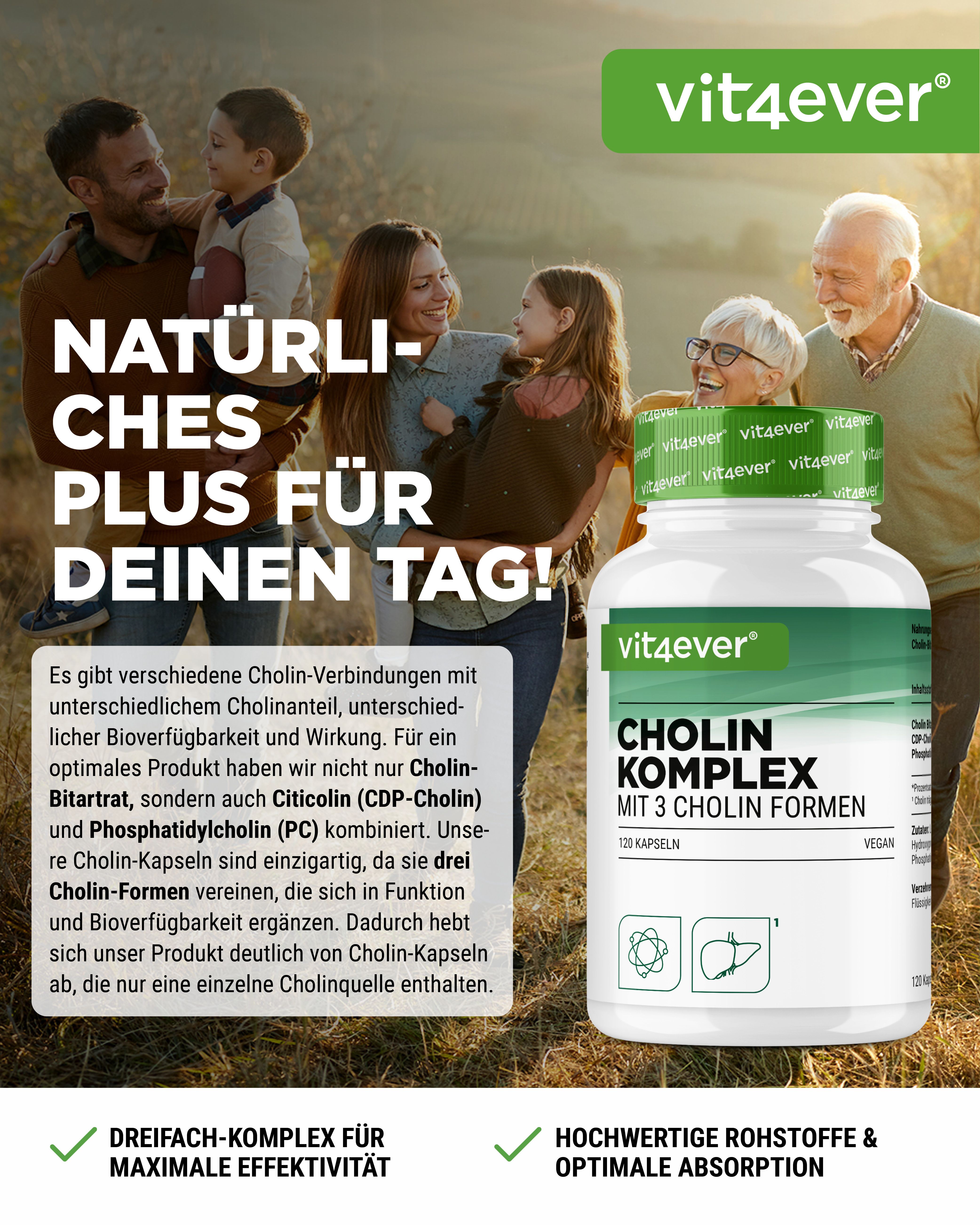 vit4ever Cholin Komplex