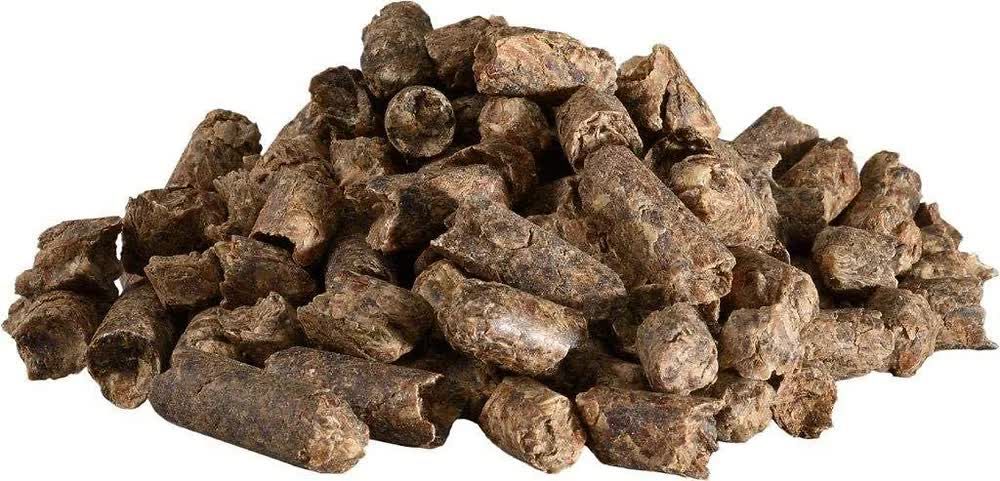 Haufen von braunen, zylindrischen Pellets aus Rübenschnitzel.