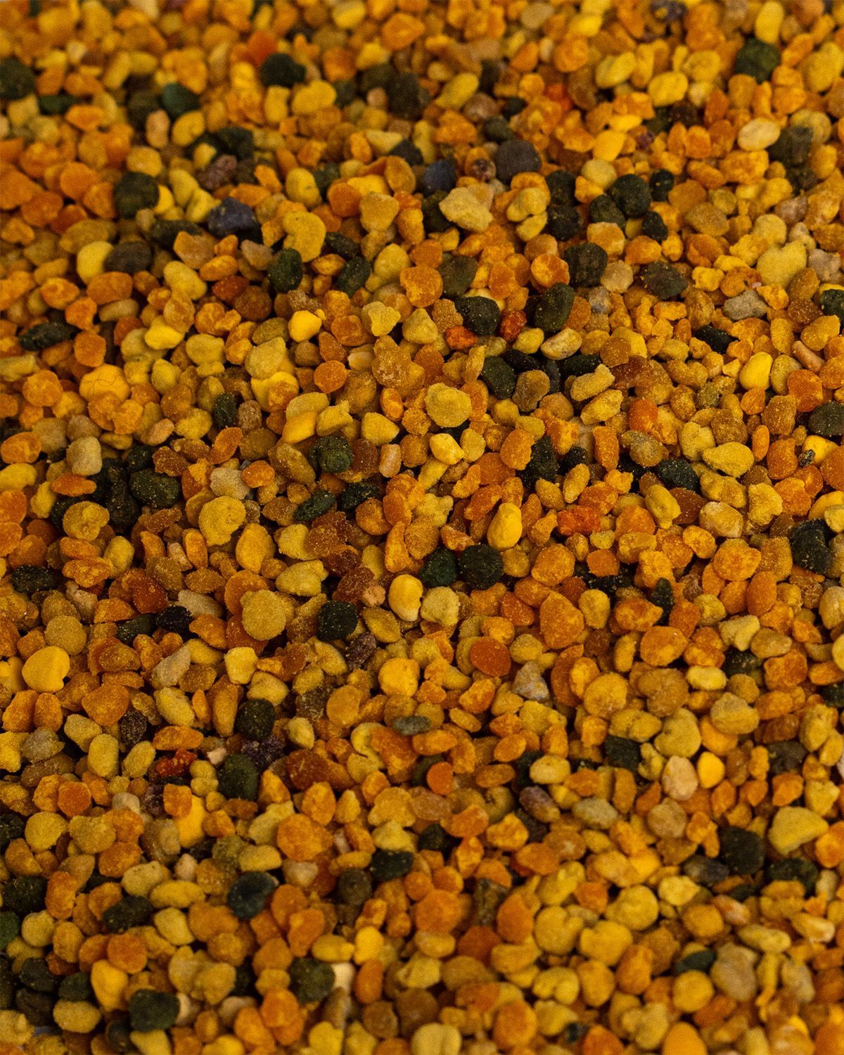 Nahaufnahme von Bltenpollen. Verschiedene Farben und Formen von Pollen.