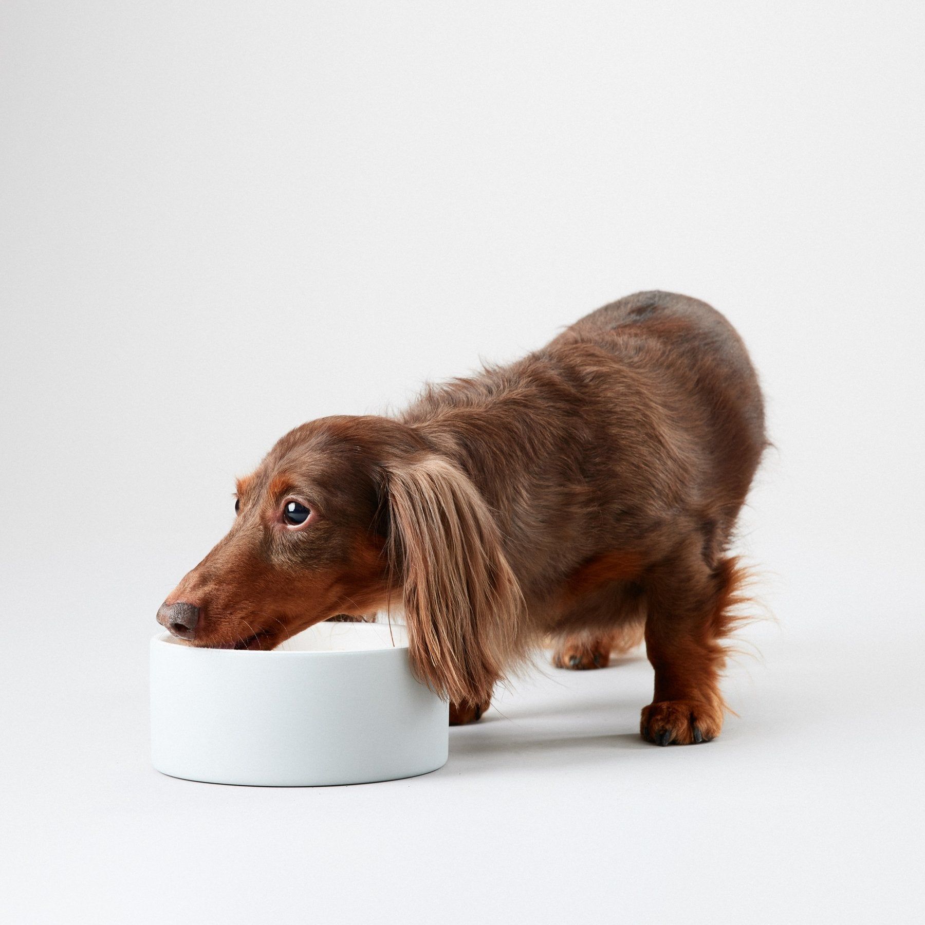 Cool Bowl Hundenapf Grey - PAIKKA