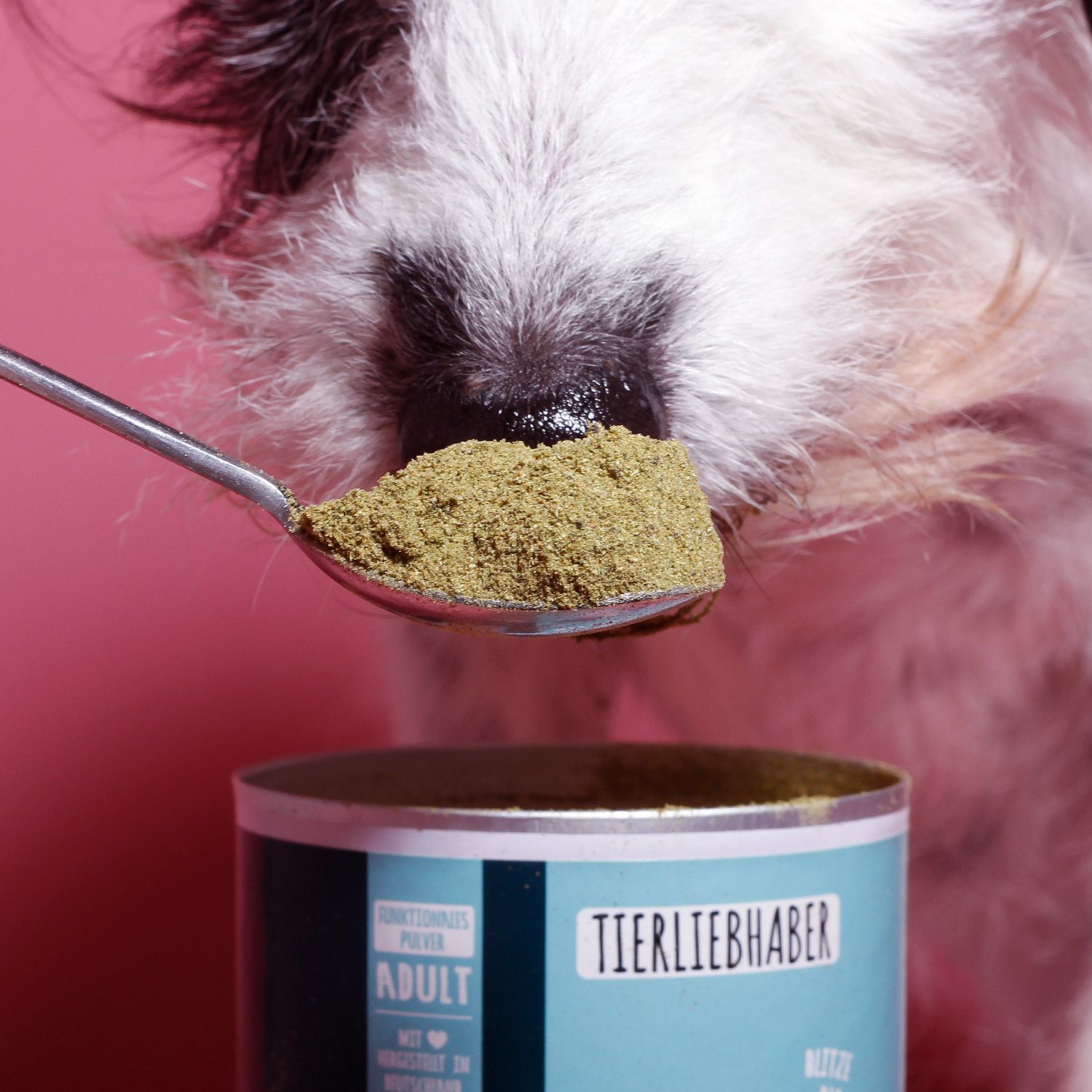 Löffel mit Zahnfee Pulver vor Hundeschnauze. Dose im Hintergrund. Aufschrift: Tierliebhaber.