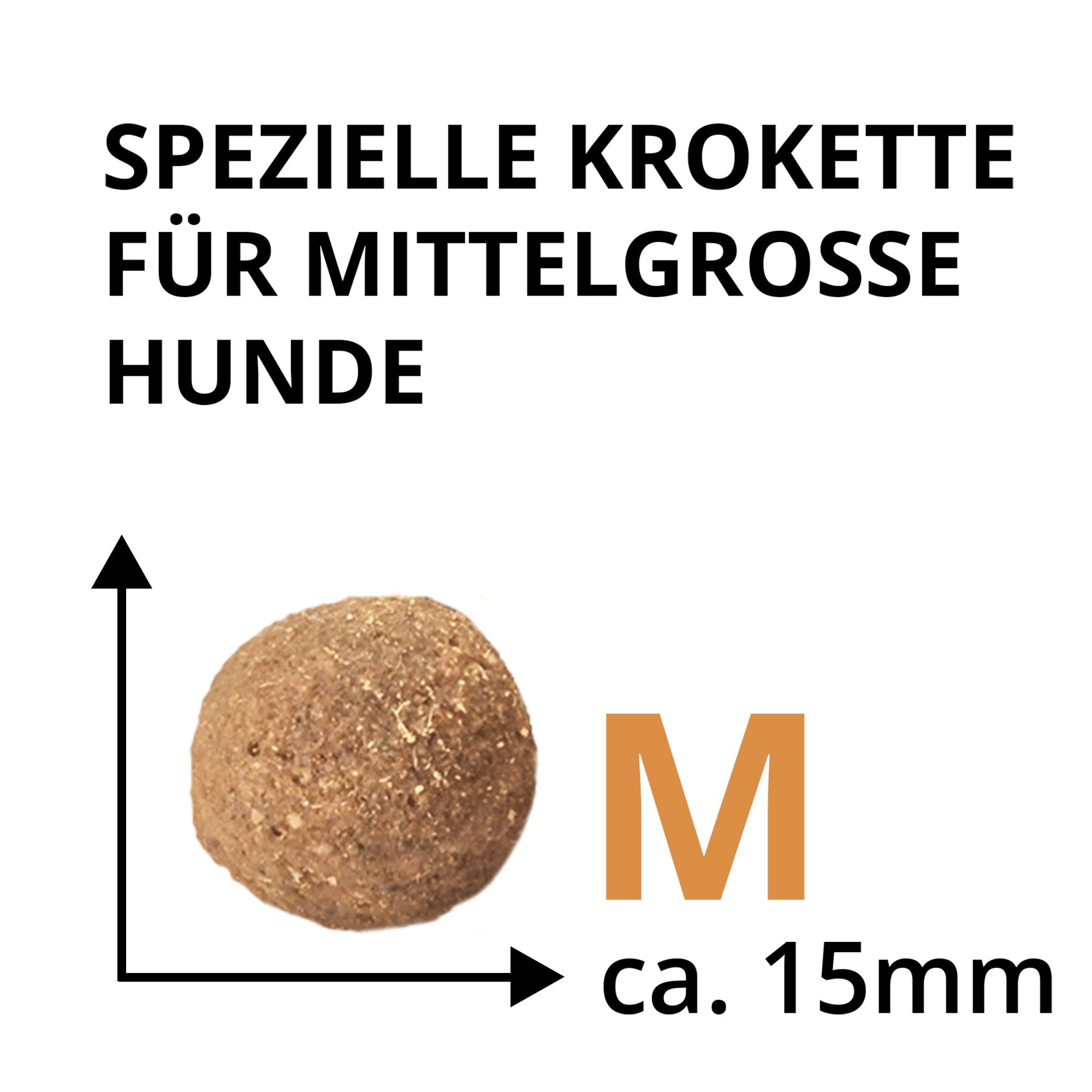 Spezielle Kroketten für mittelgrosse Hunde "Breed Selection M", ca. 15mm Durchmesser.