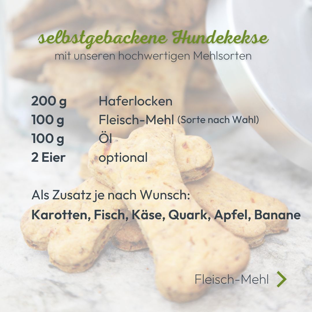 Rezept für selbstgebackene Hundekekse mit Zutatenliste und Beispielkeksen.