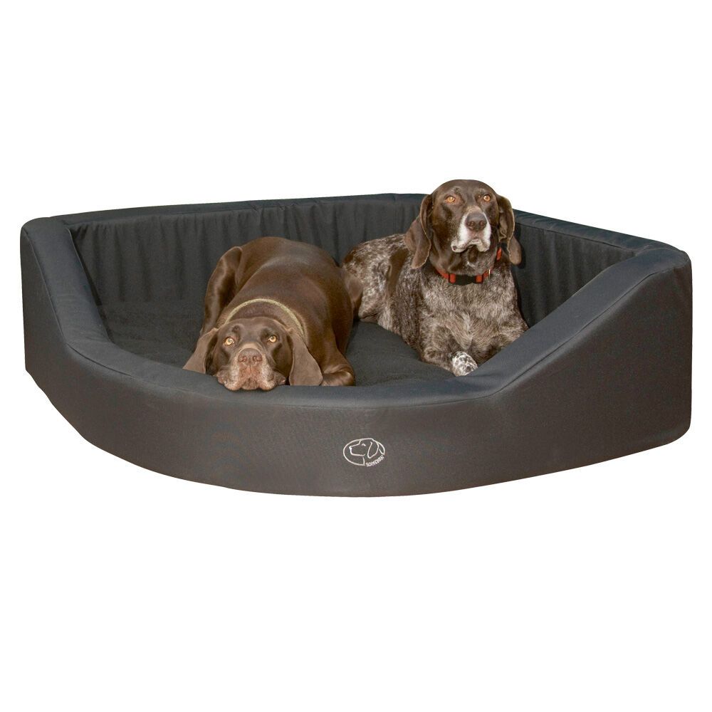 Hundebett, schwarz, mit zwei Hunden. Eckige Form mit erhöhten Seiten. Logo unten rechts.