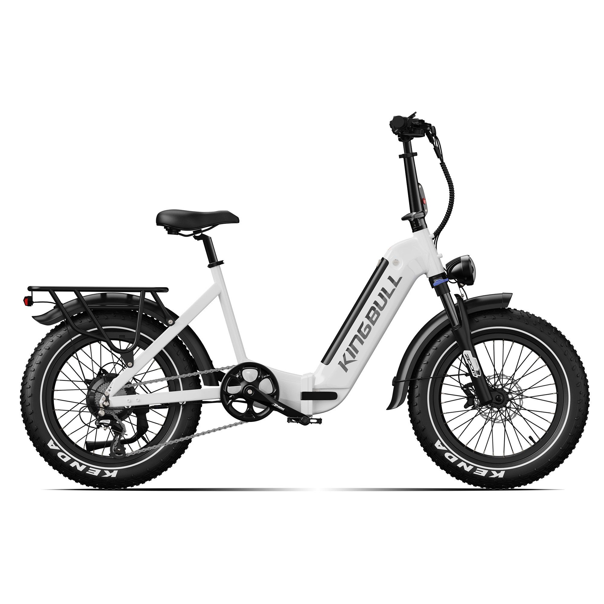 KINGBULL VERVE Elektrofahrrad, 48V 20Ah Akku (herausnehmbar), Shimano 8-Gang-Schaltung