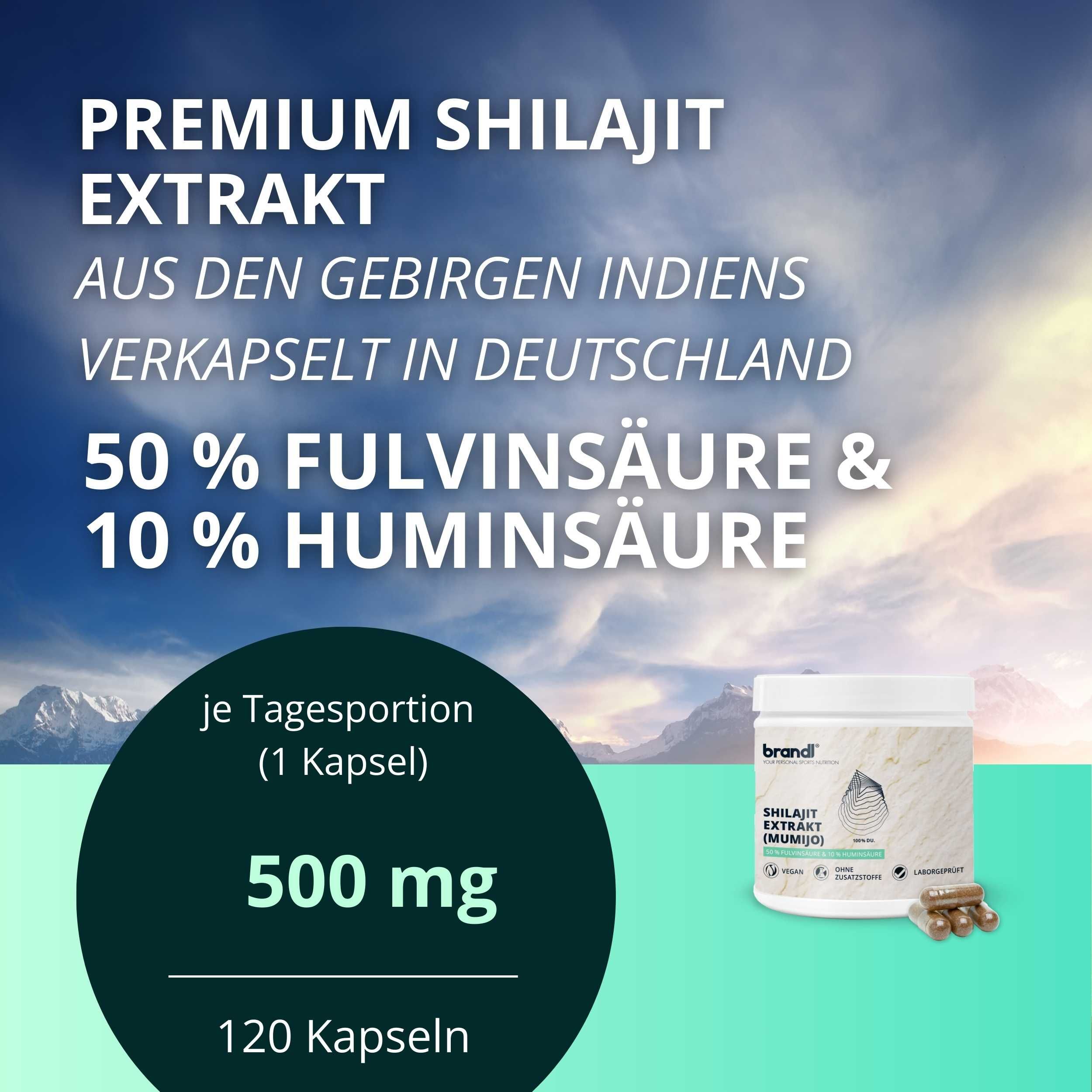 brandl Shilajit Extrakt Kapseln für eine einwandfreie Funktion des Organismus 120 KAP