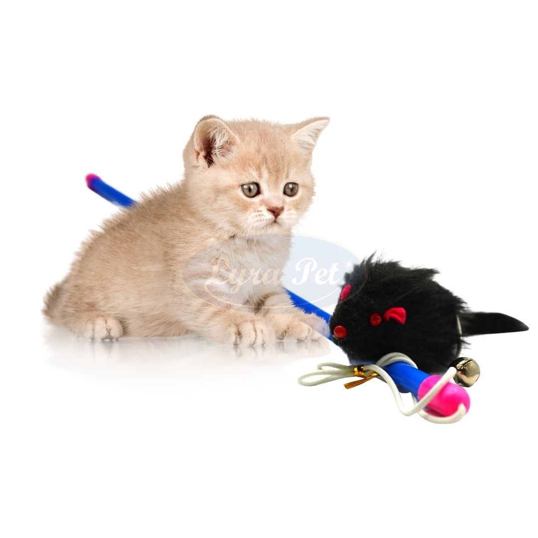 Lyra Pet® Katzenangel mit Maus schwarz