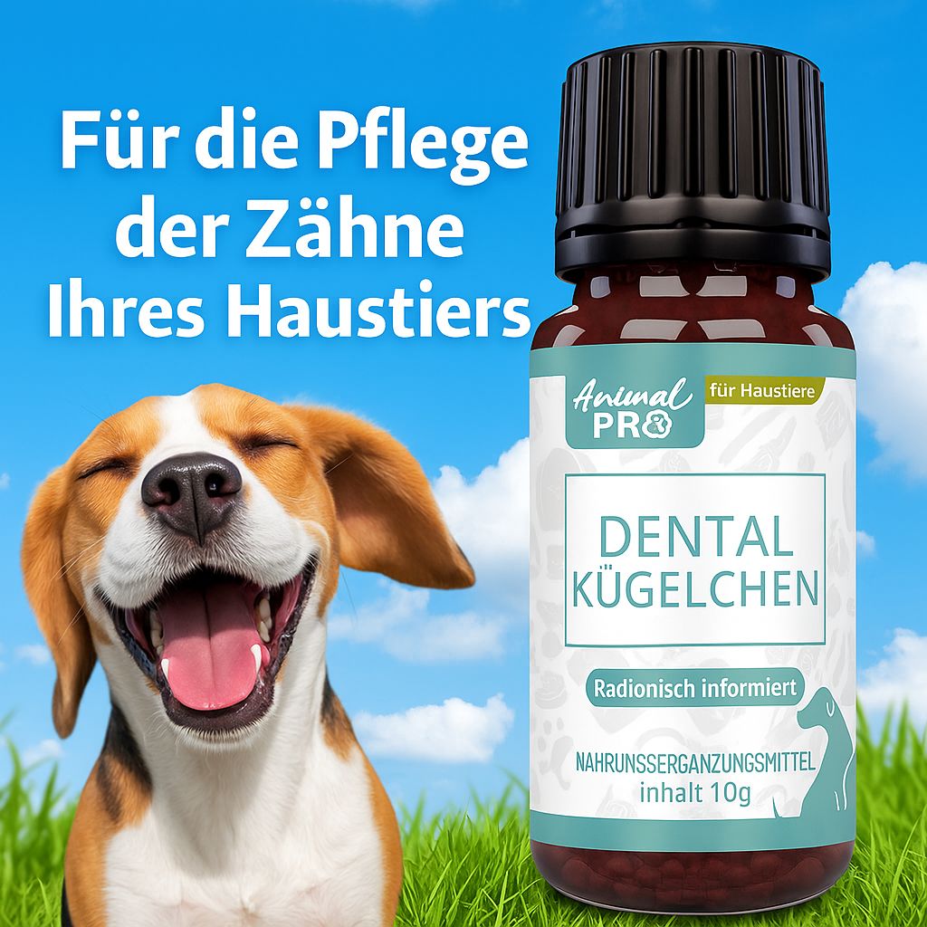 Produktflasche neben glücklichem Hund auf Wiese. Text: "Für die Pflege der Zähne Ihres Haustiers".
