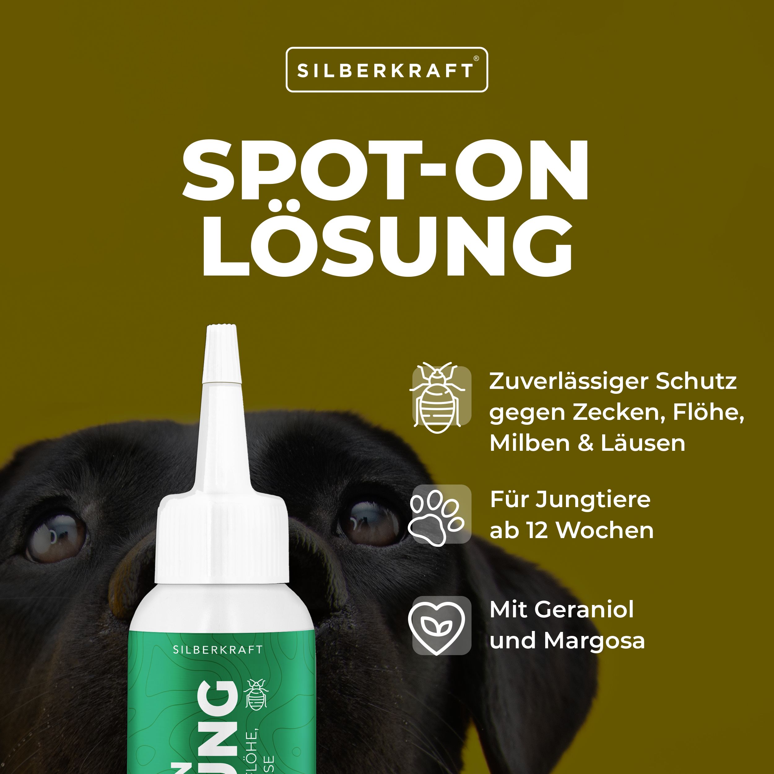 Silberkraft Spot On Lösung Hund & Katze 4x100 ml Spray