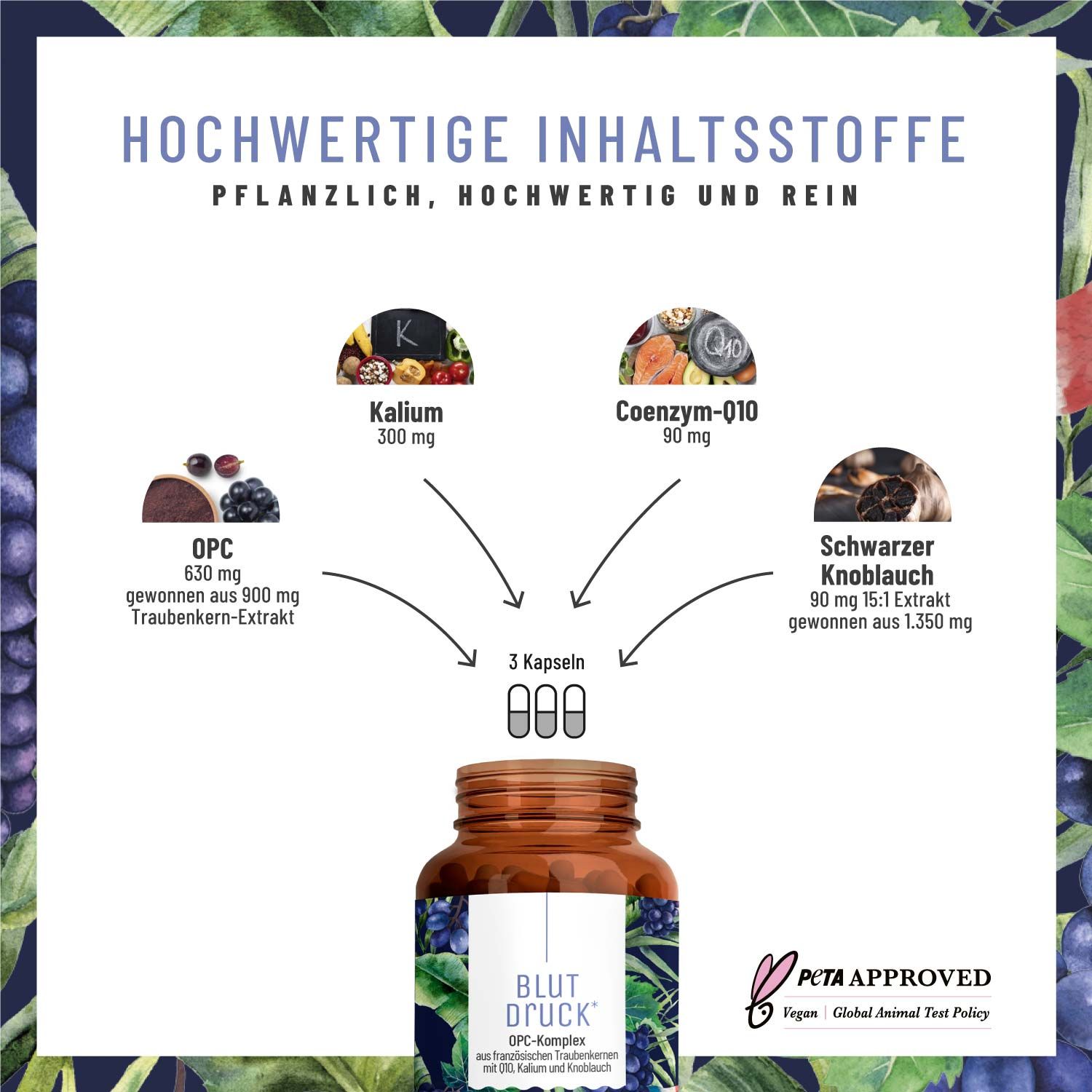 OPC Traubenkernextrakt Komplex mit Q10, Kalium und schwarzem Knoblauch - Blutdruck - NATURTREU®