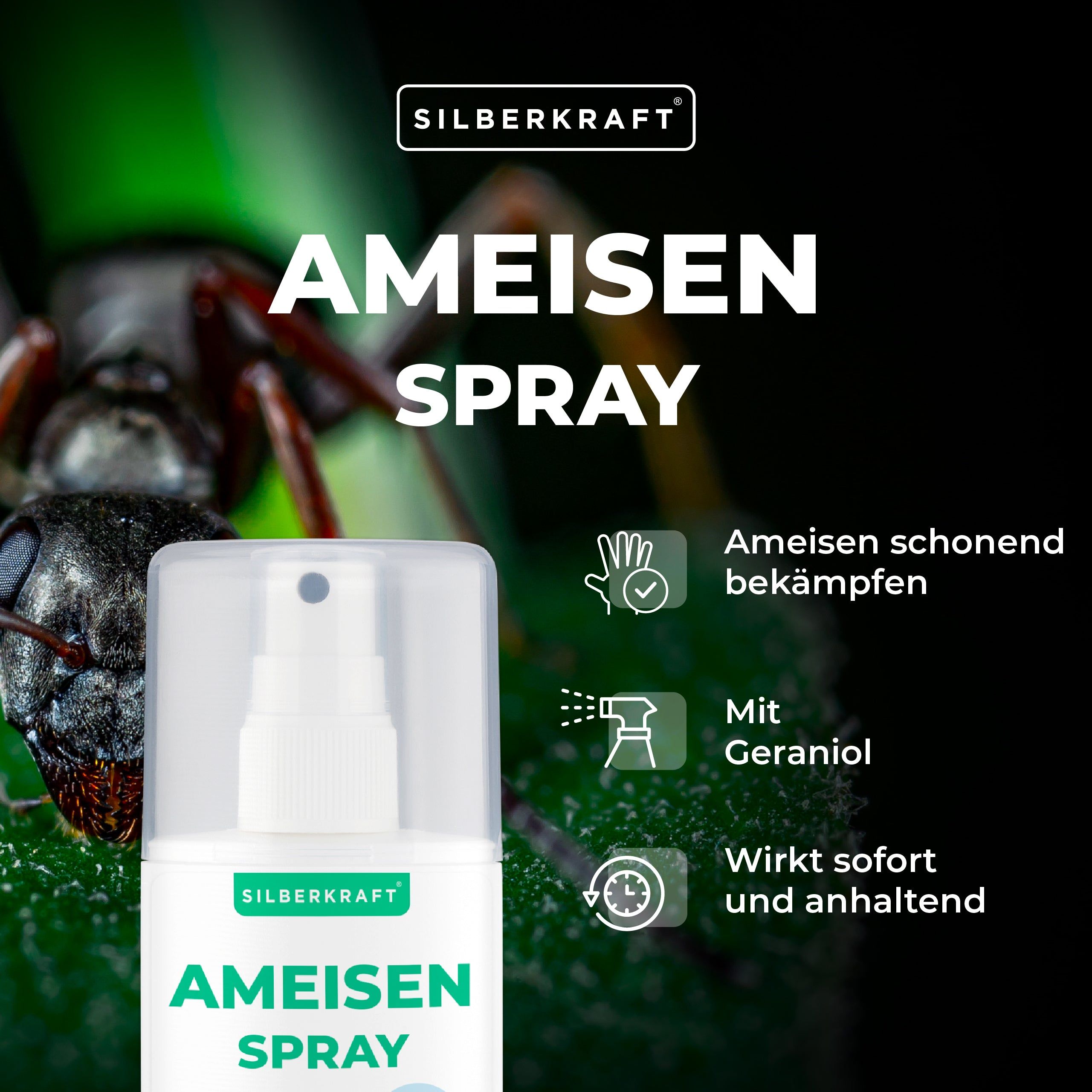 SILBERKRAFT Ameisenspray