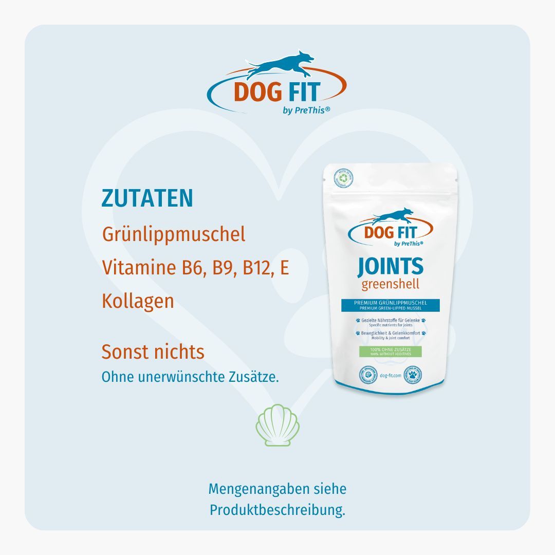 DOG FIT Logo und Beutel. Text: Zutaten: Grünlippmuschel, Vitamine, Kollagen. Ohne unerwünschte Zusätze.