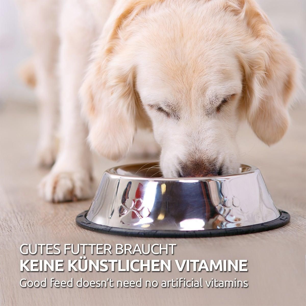 Hund frisst aus einer Edelstahlschüssel. Aufschrift: Gutes Futter braucht keine künstlichen Vitamine. Text darunter in Englisch.